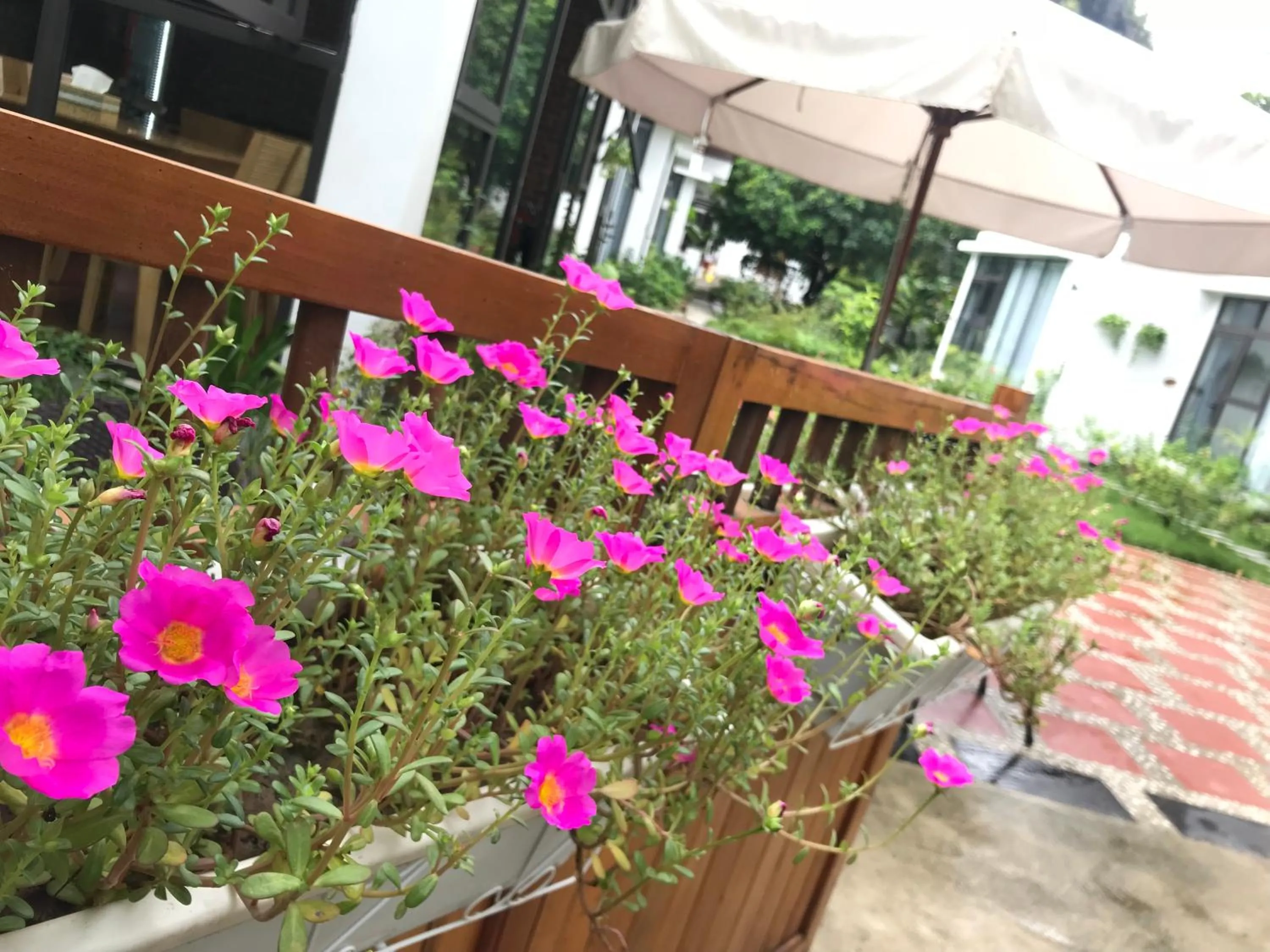 Facade/entrance in Tam Coc Boutique Garden