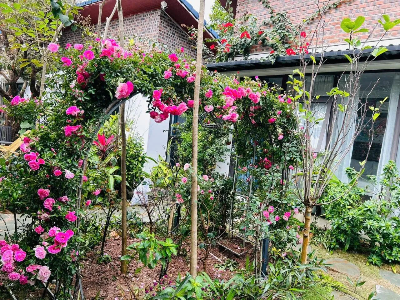 Garden in Tam Coc Boutique Garden