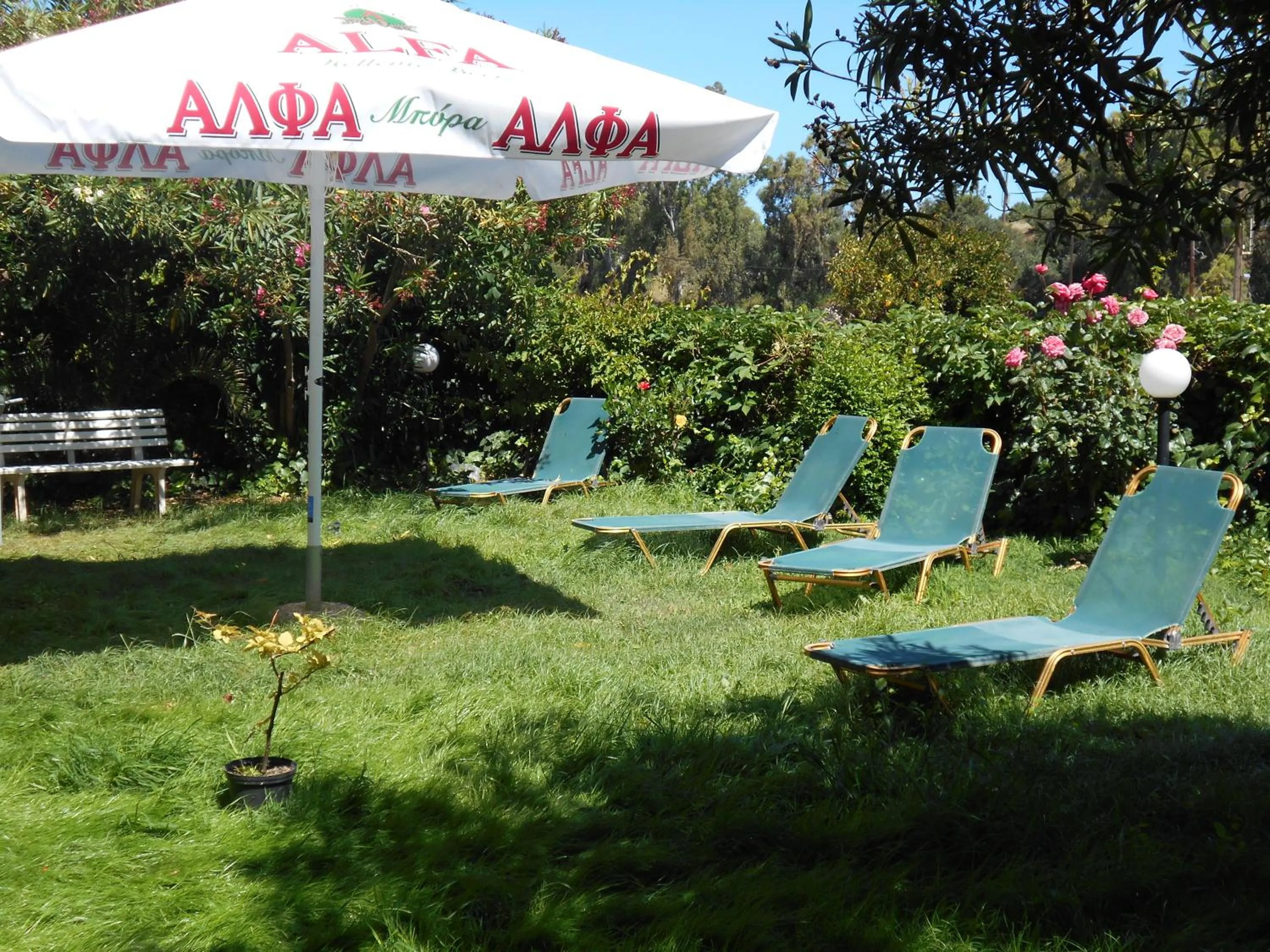 Garden in Ilona Apartments Chania
