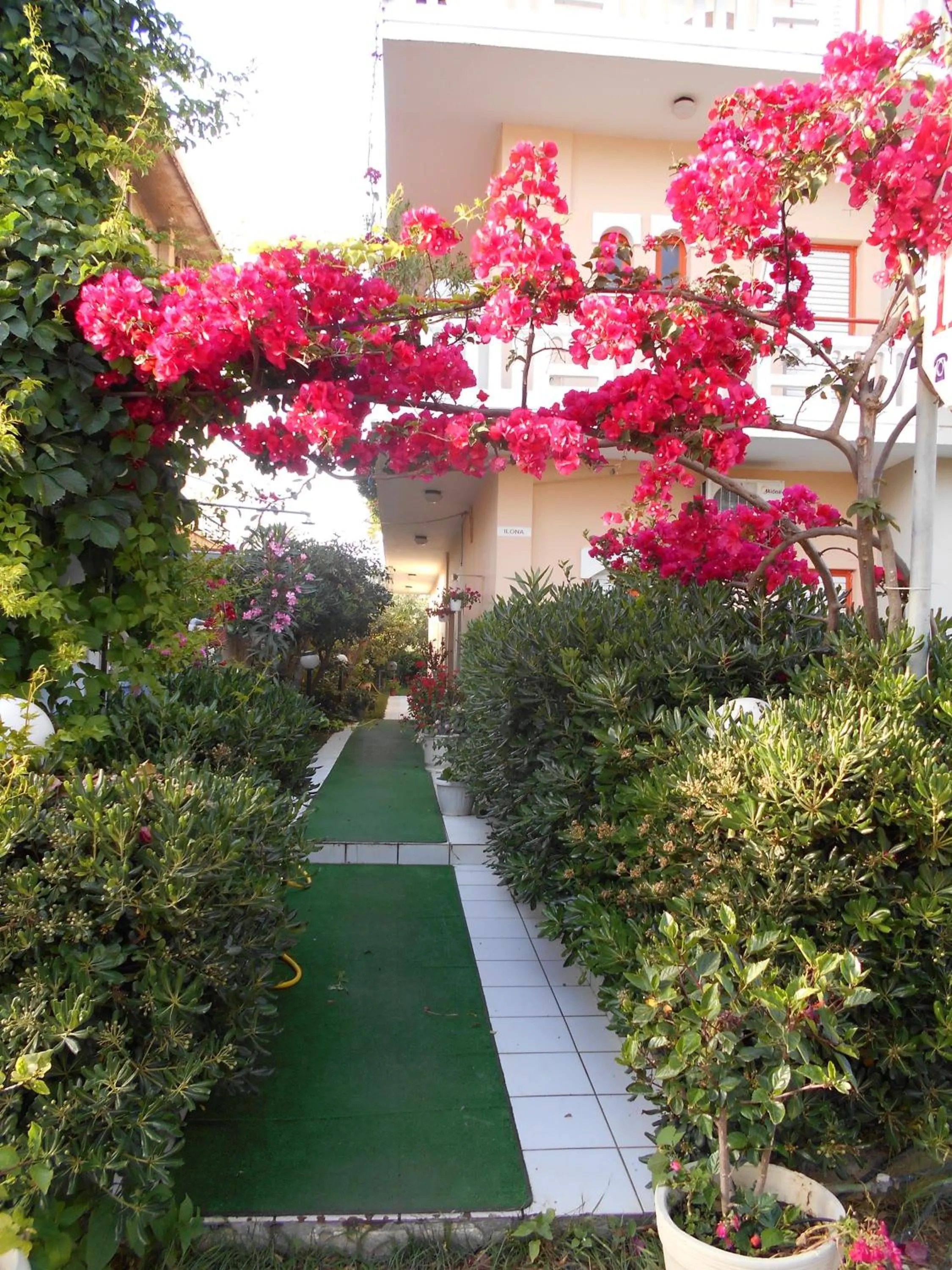 Garden in Ilona Apartments Chania