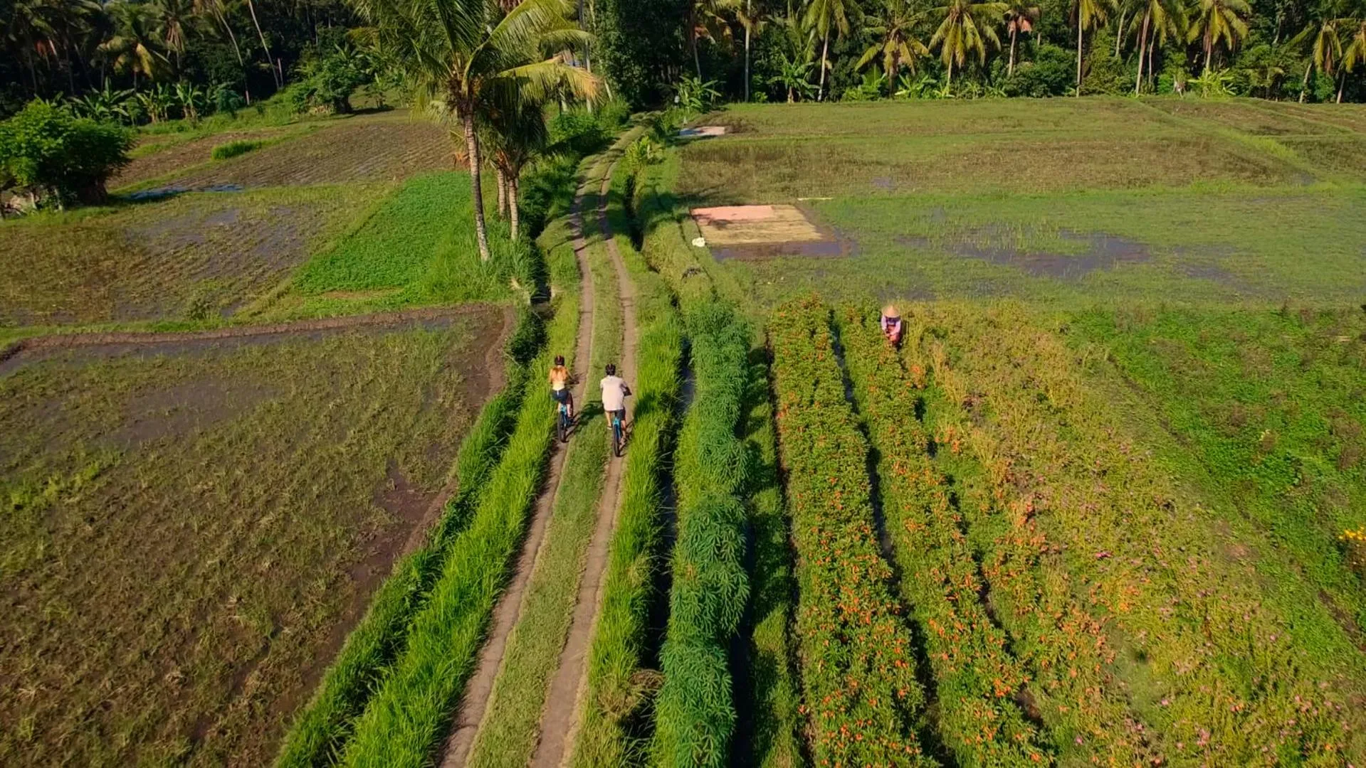 Cycling in Puri Taman Sari Resort