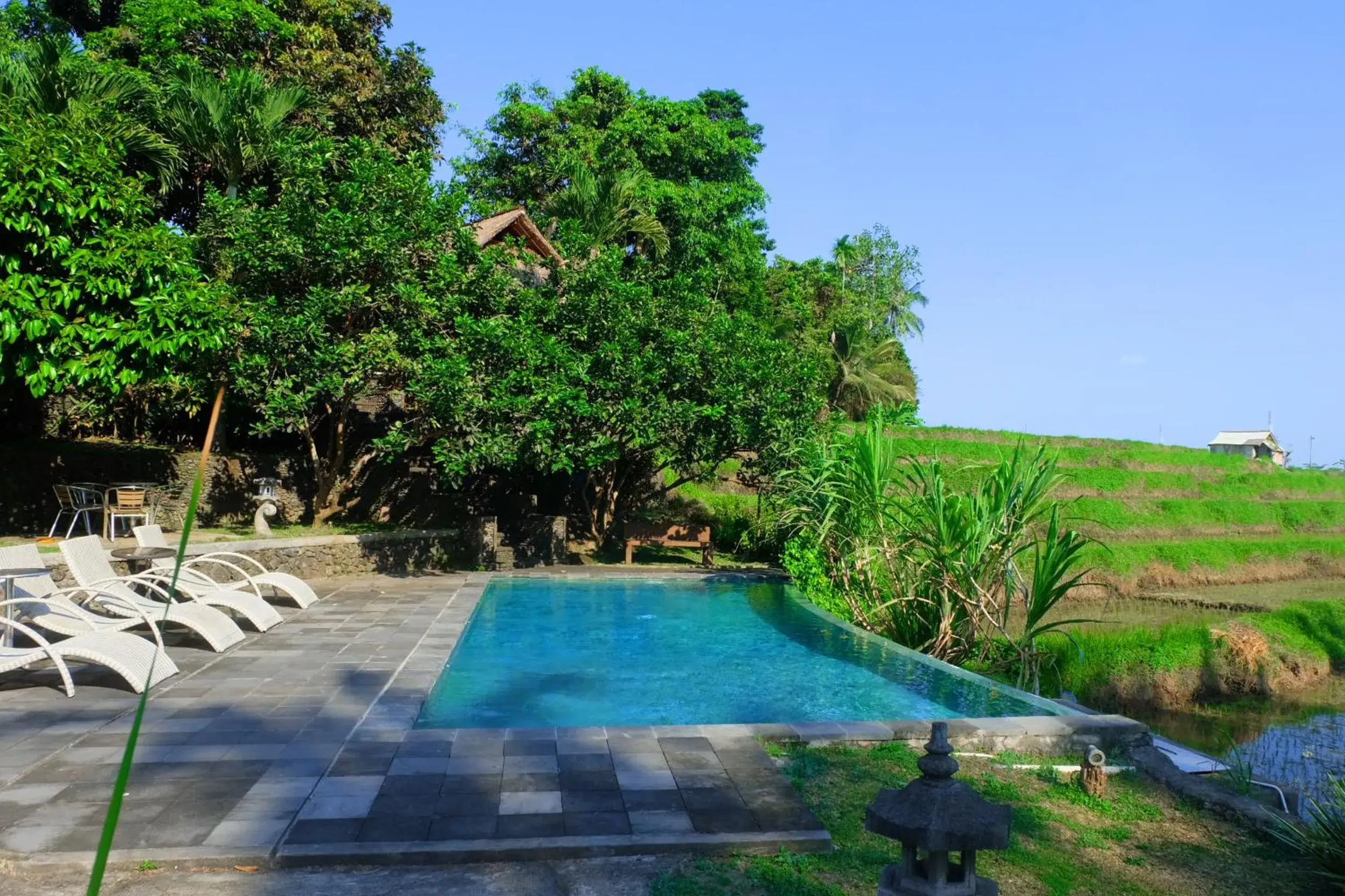 Swimming pool in Puri Taman Sari Resort Swimming pool in Puri Taman Sari Resort
