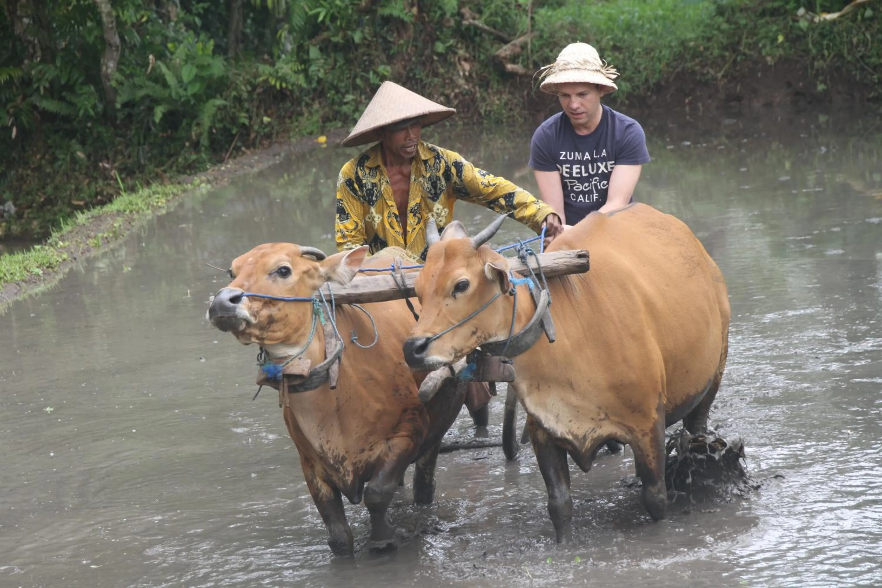 Activities in Puri Taman Sari Resort