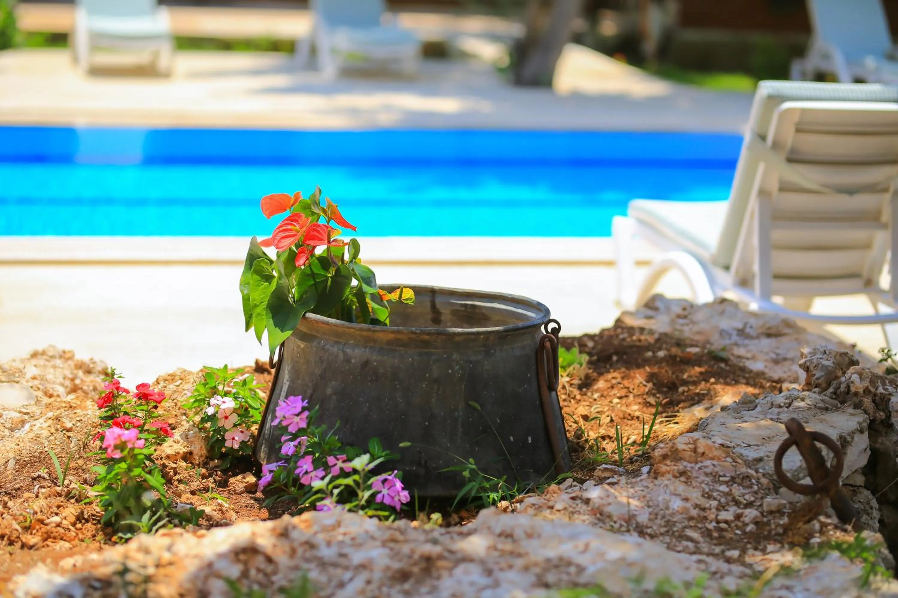 Swimming pool in Villa Dundar - Kas Apartments