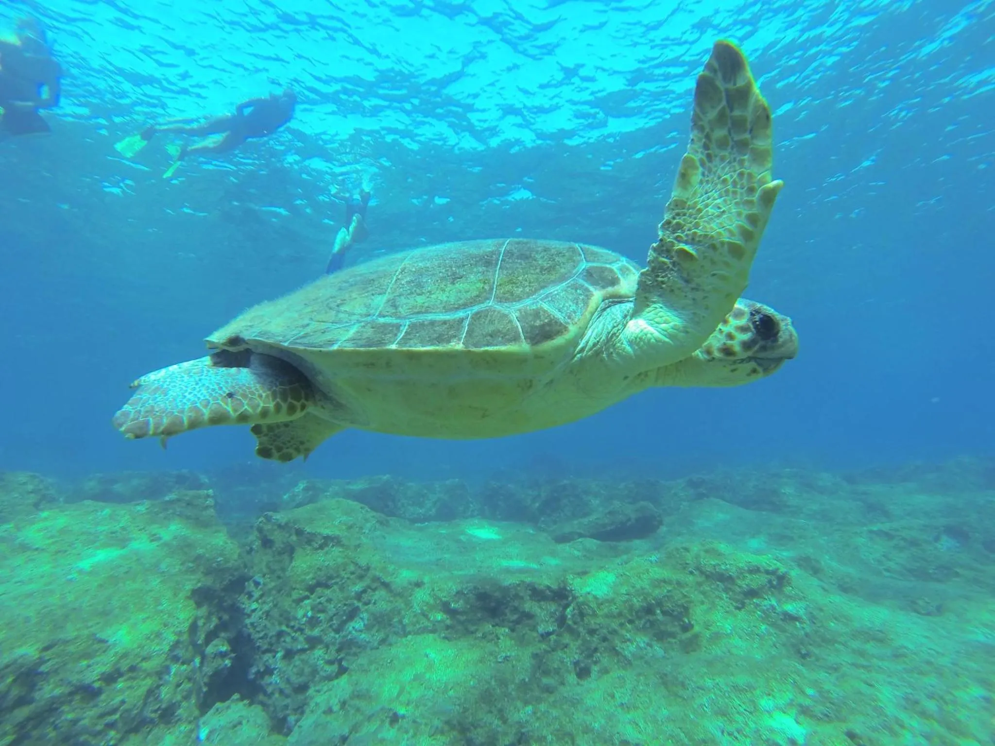 Diving in Villa Dundar - Kas Apartments
