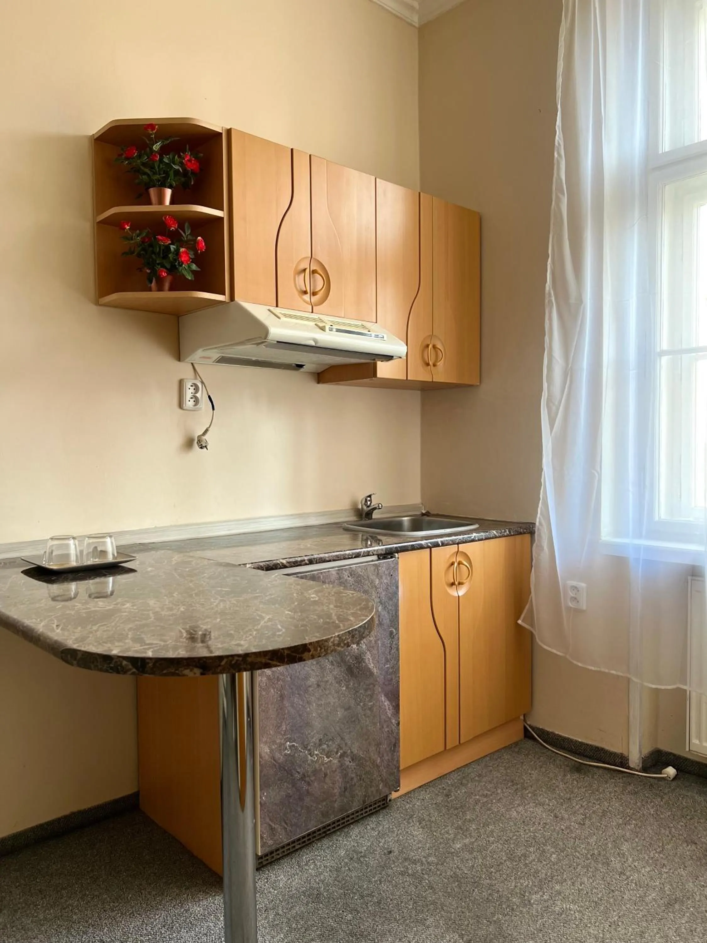 Kitchen or kitchenette in Hotel GEO
