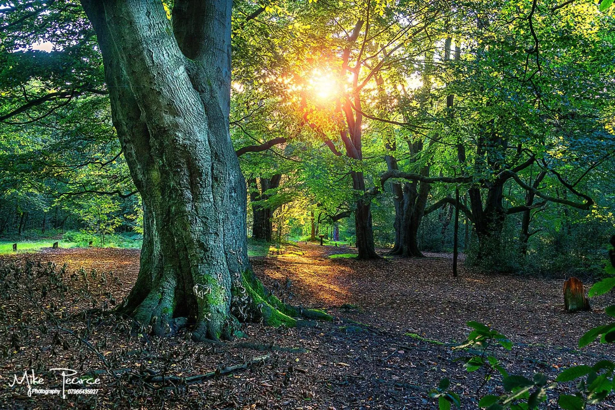 Nearby landmark in Cannock Hotel Apartments