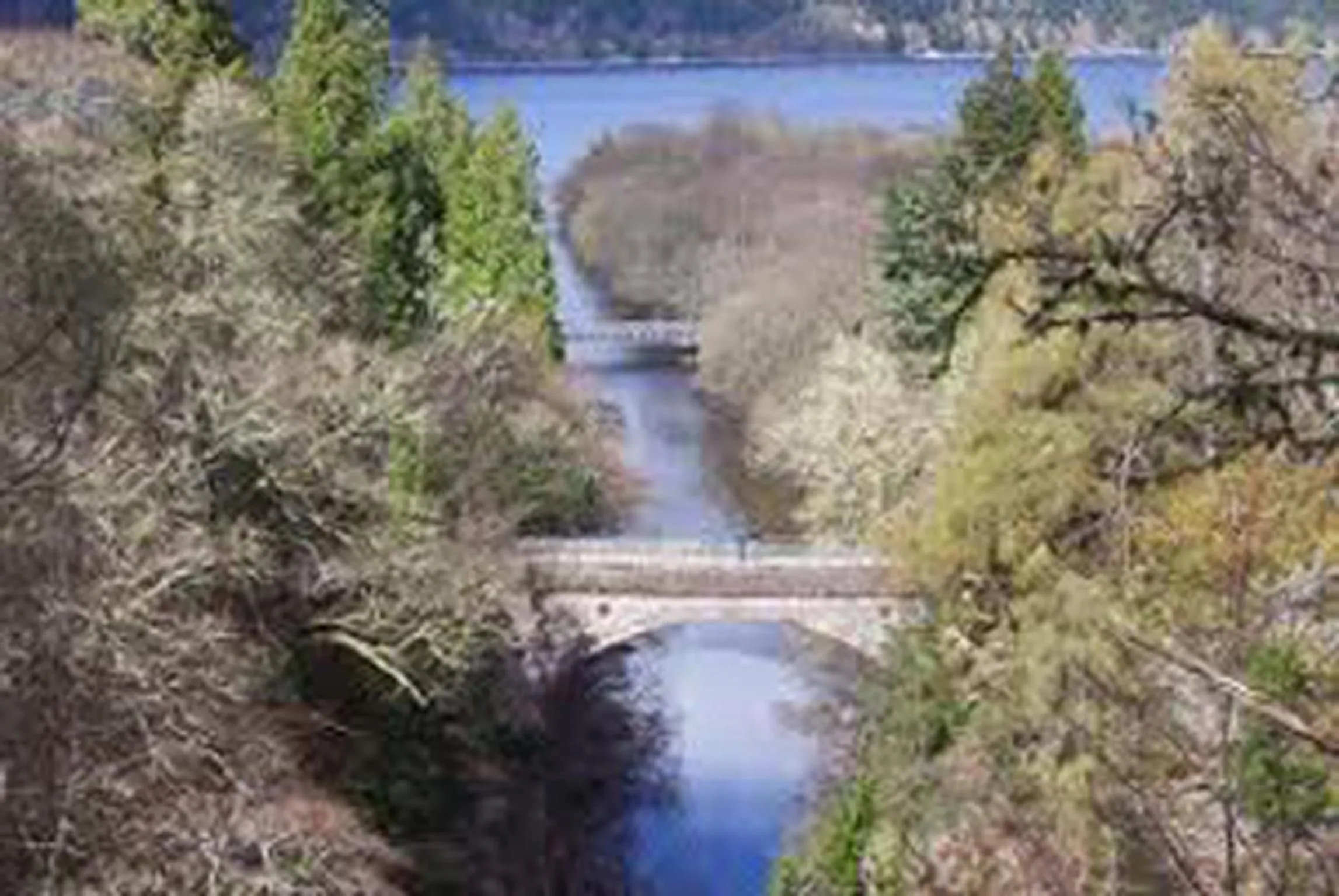View (from property/room) in Foyers Roost
