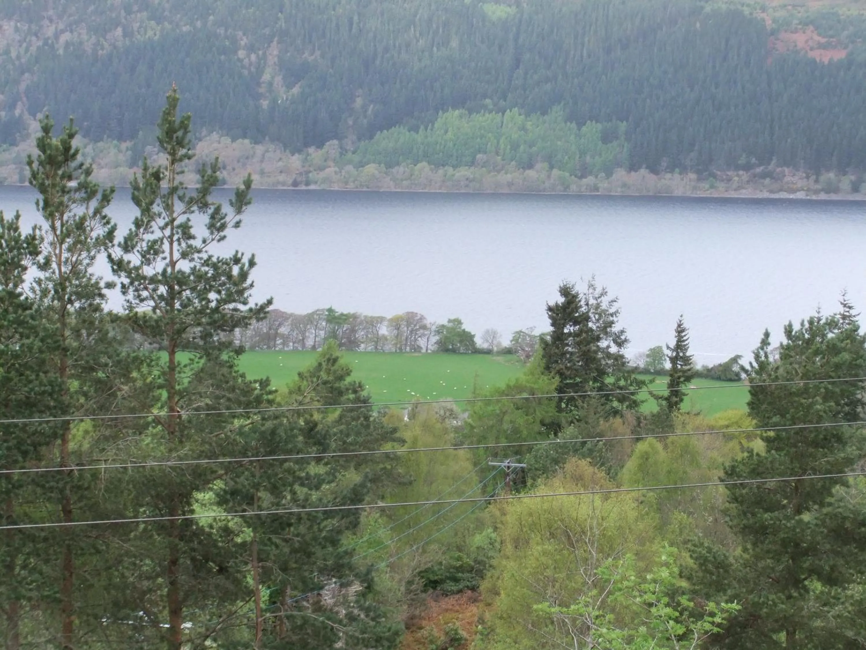 View (from property/room) in Foyers Roost