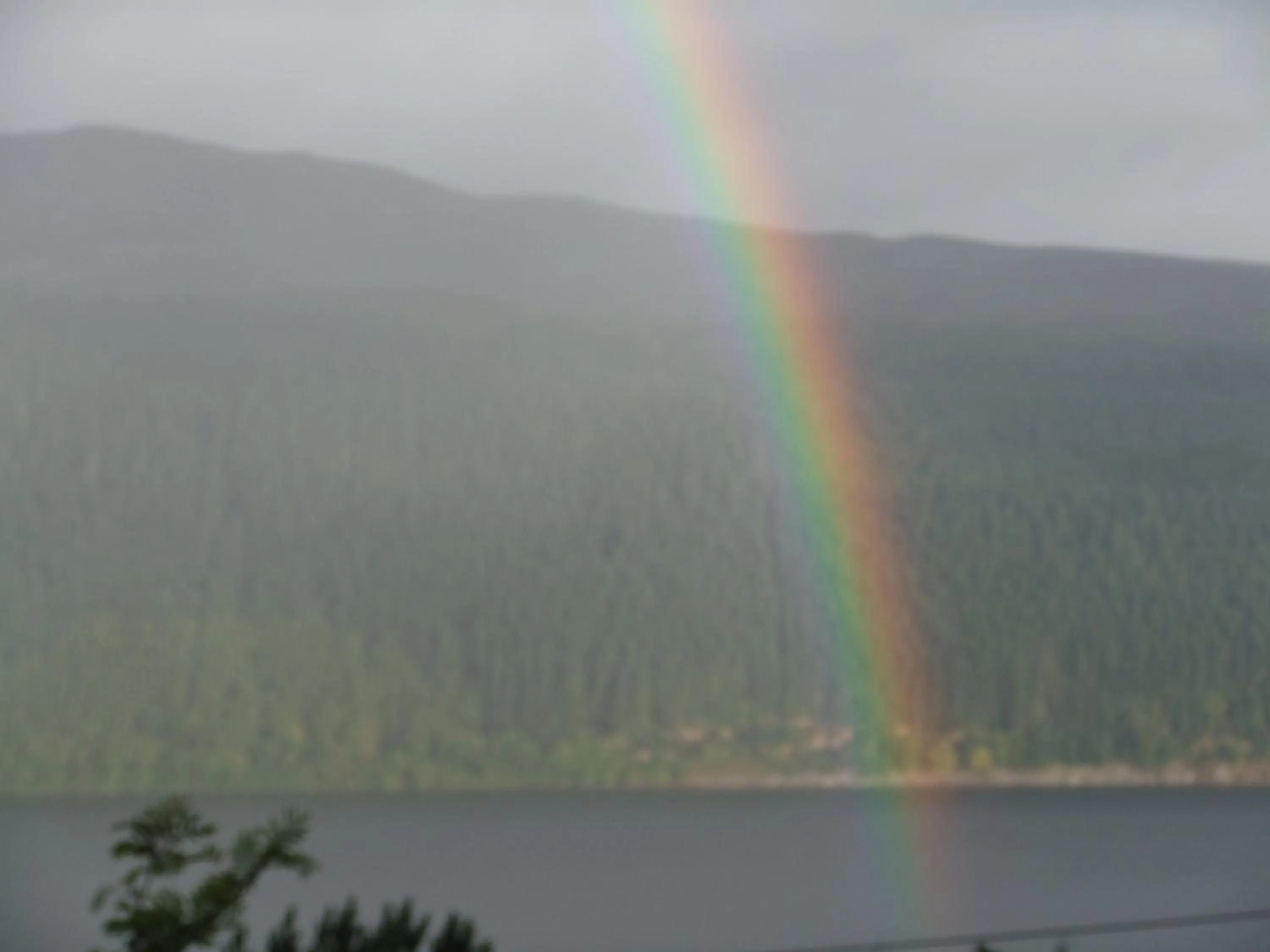 View (from property/room) in Foyers Roost