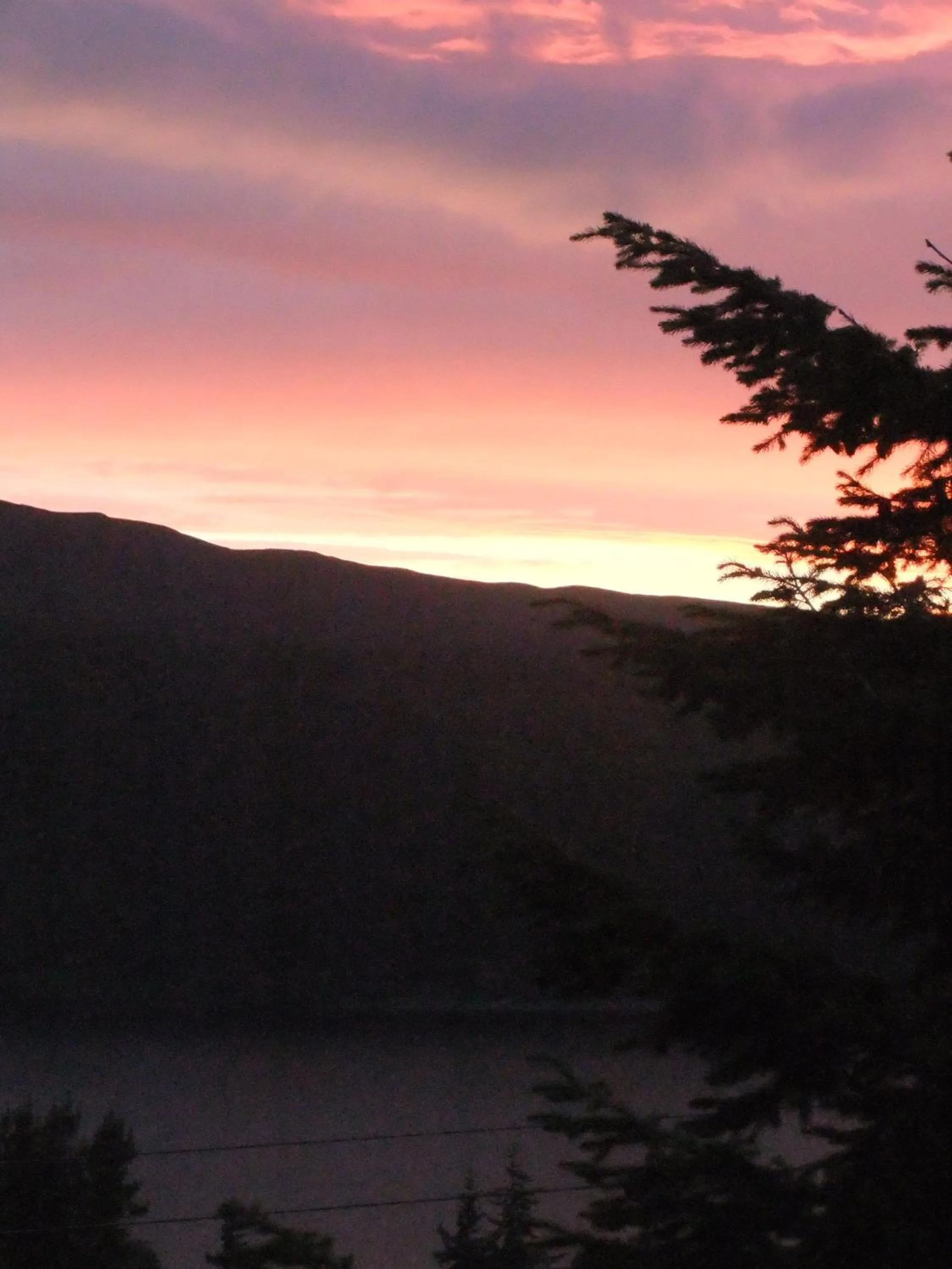 View (from property/room) in Foyers Roost