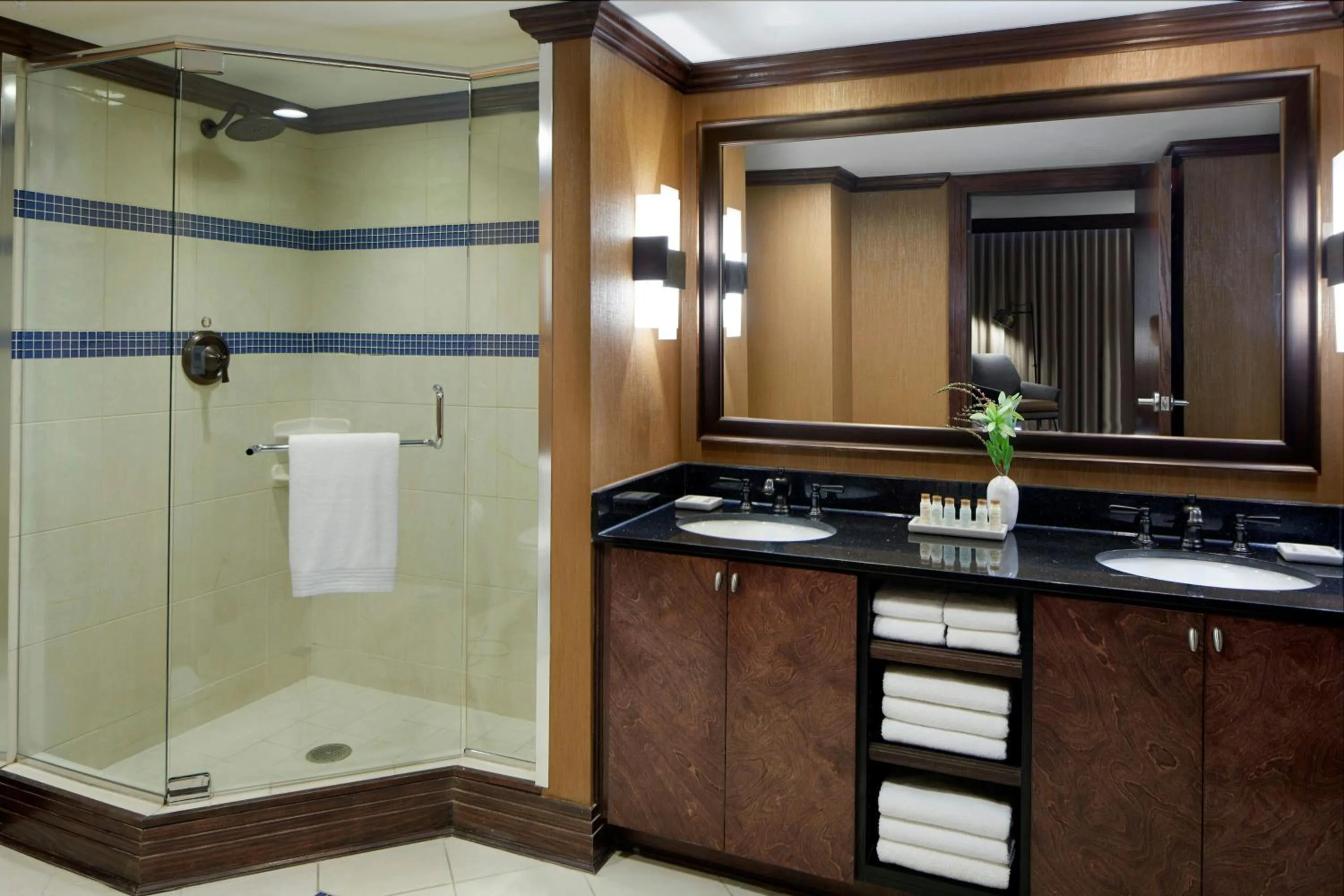 Bathroom in Renaissance Mobile Riverview Plaza Hotel
