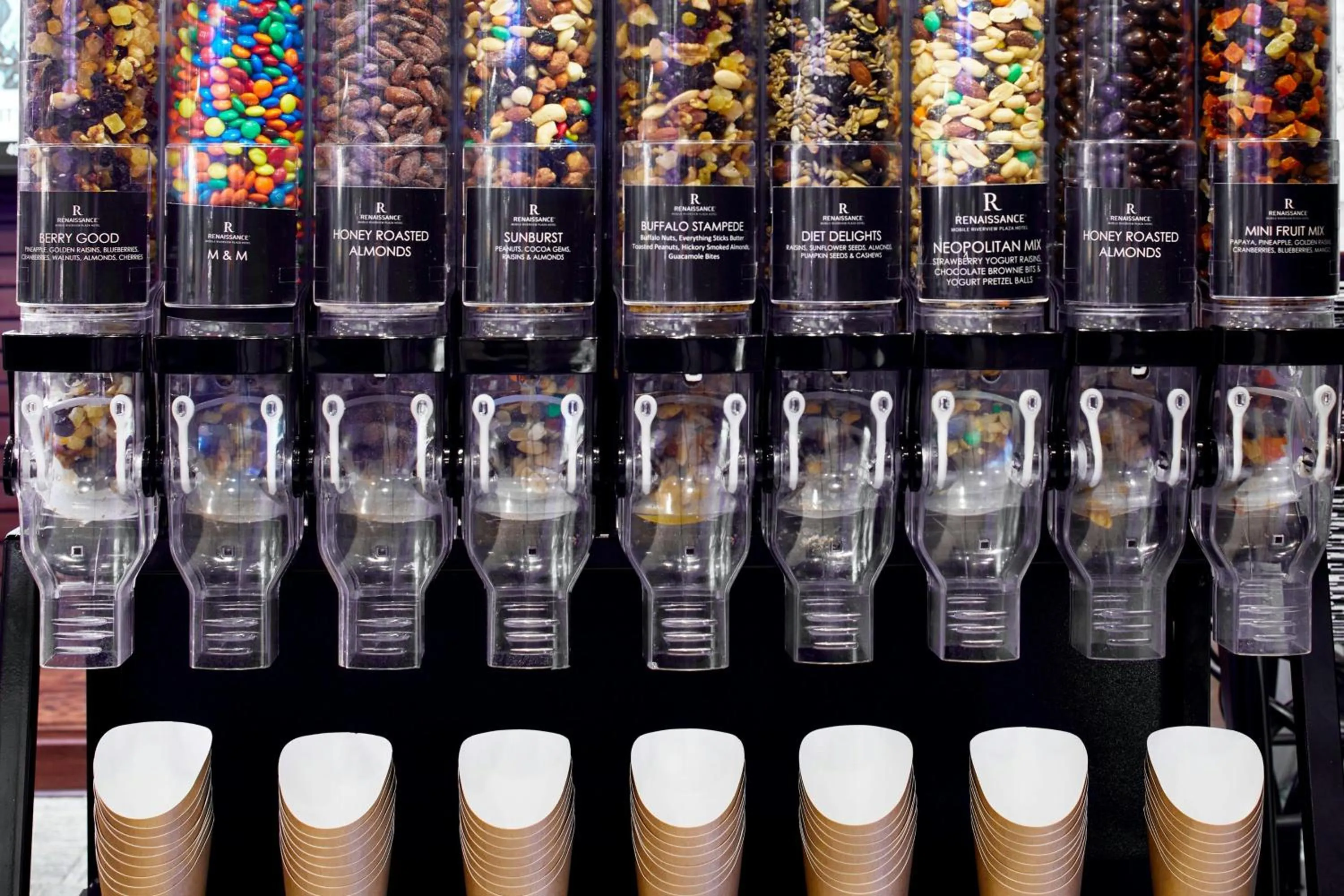 Other in Renaissance Mobile Riverview Plaza Hotel