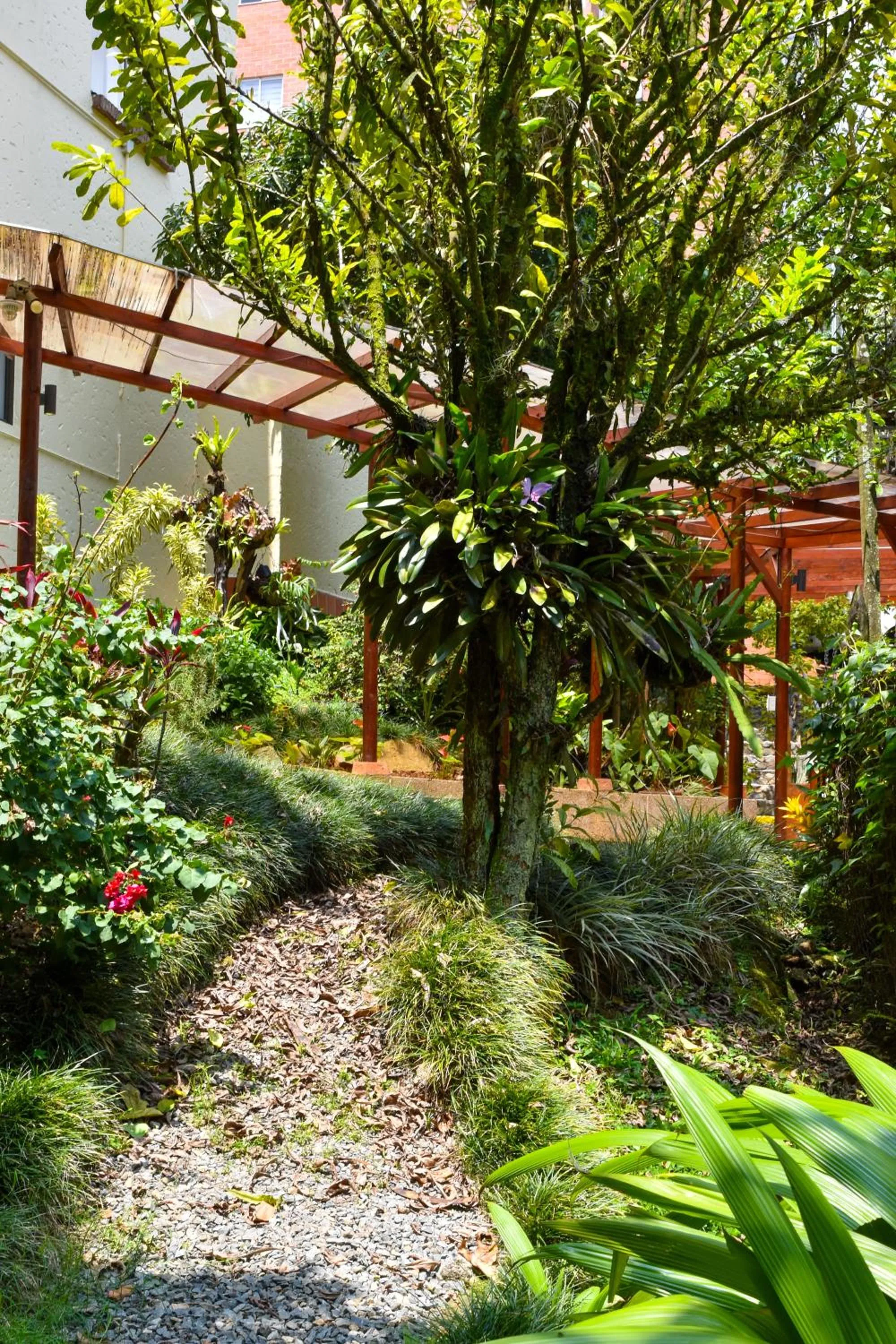 Spring in La Campana Hotel Boutique