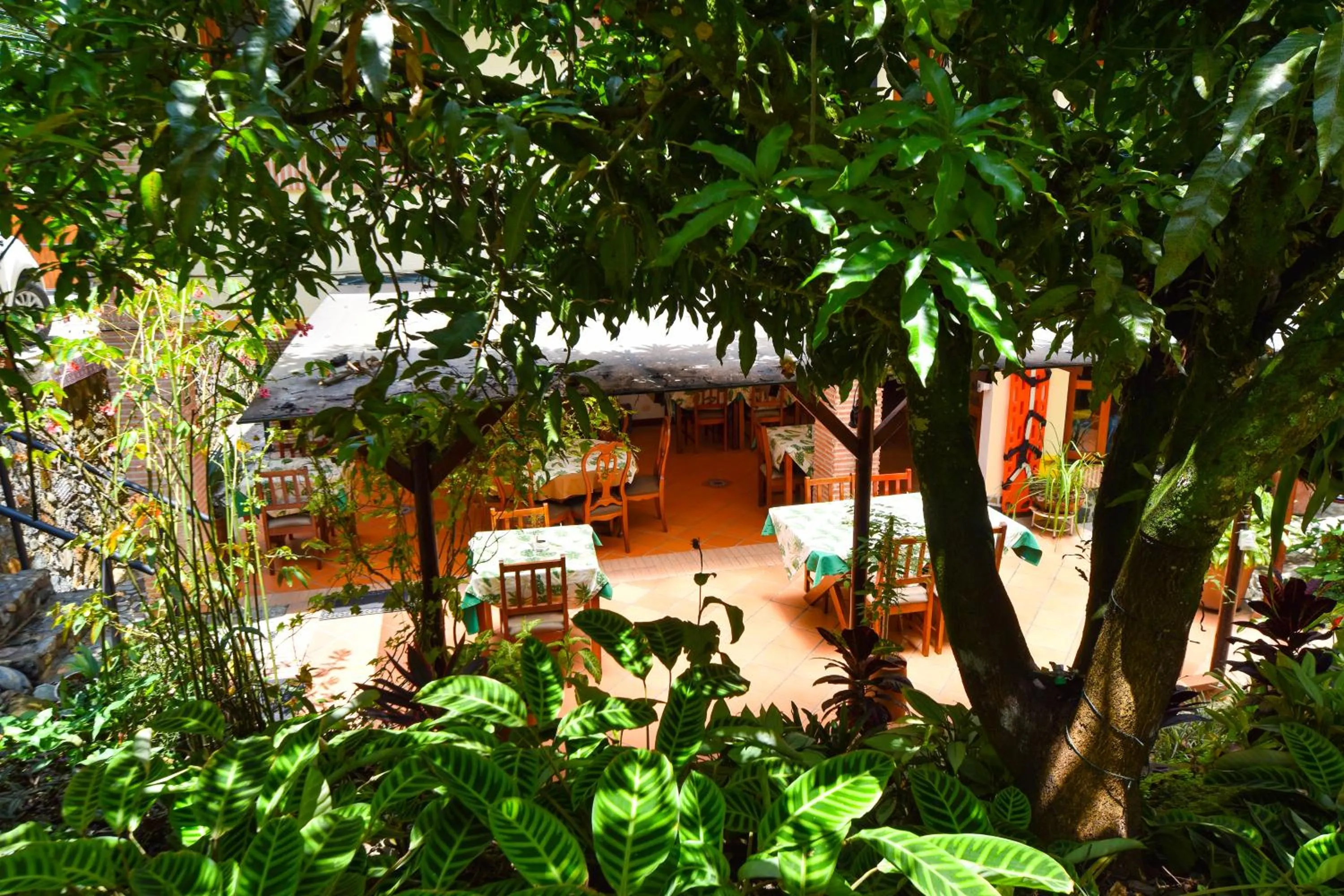 Patio in La Campana Hotel Boutique