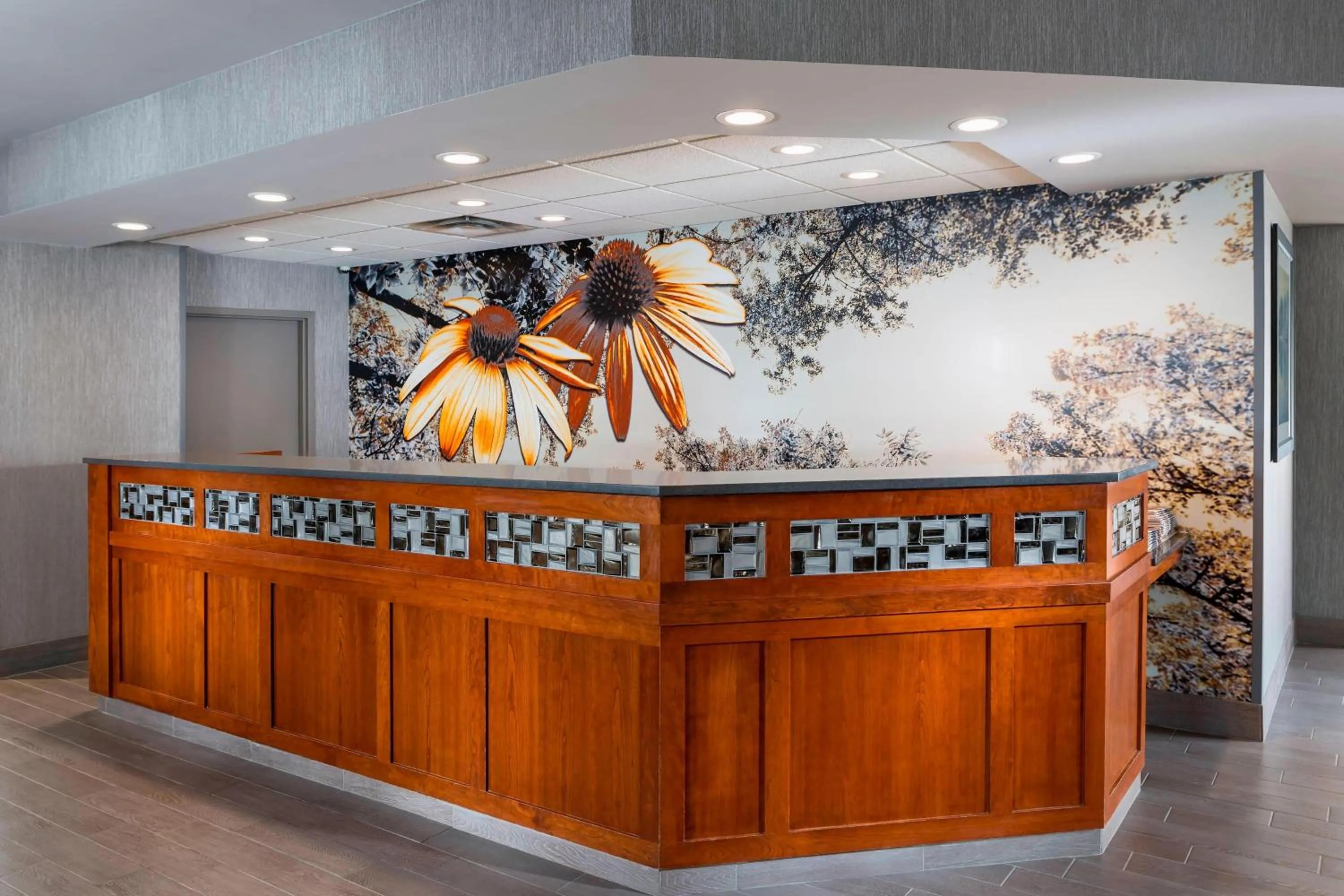Lobby or reception in Residence Inn by Marriott Bloomington by Mall of America