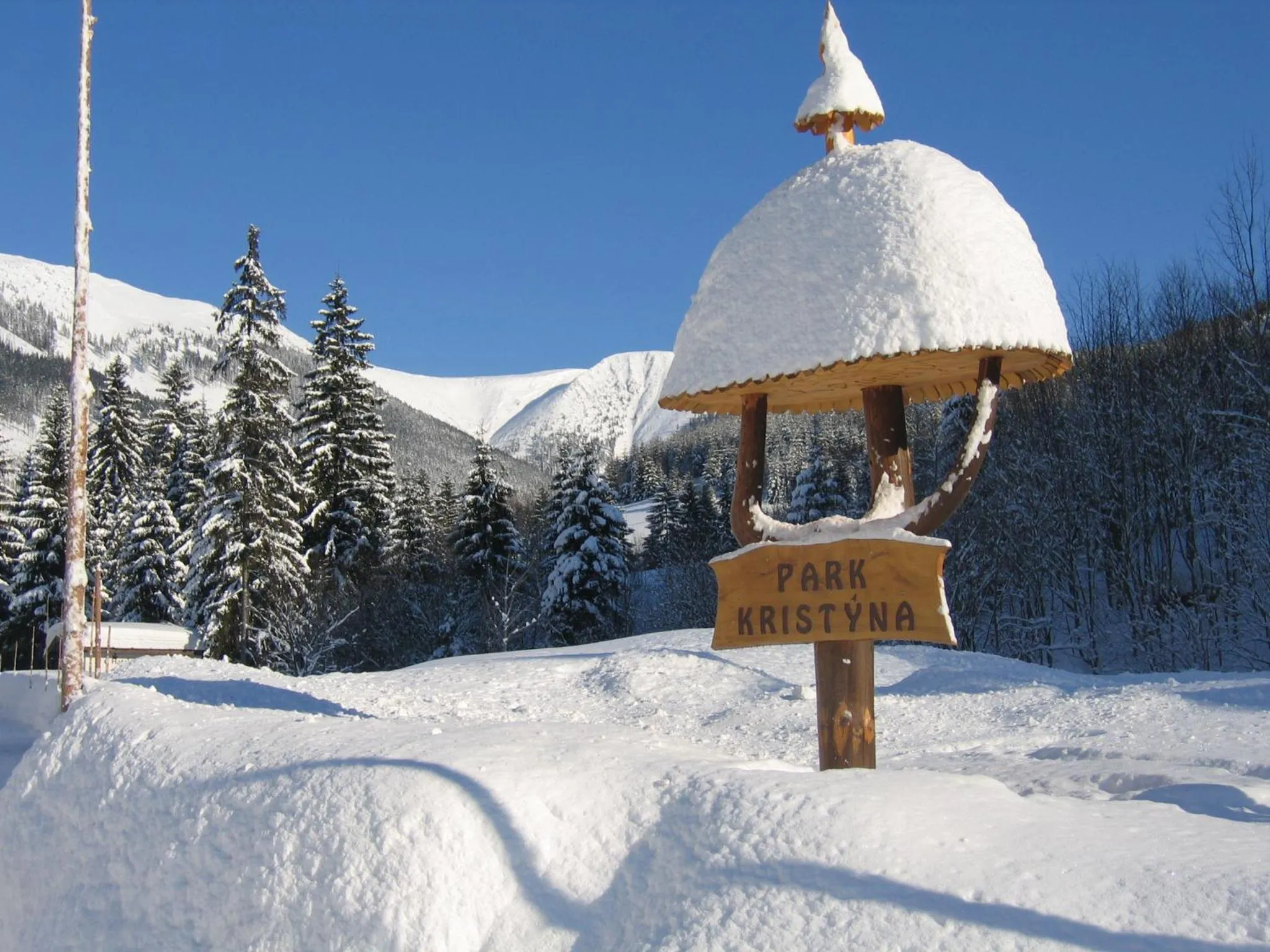 Winter in Hotel Resort Martin & Kristyna