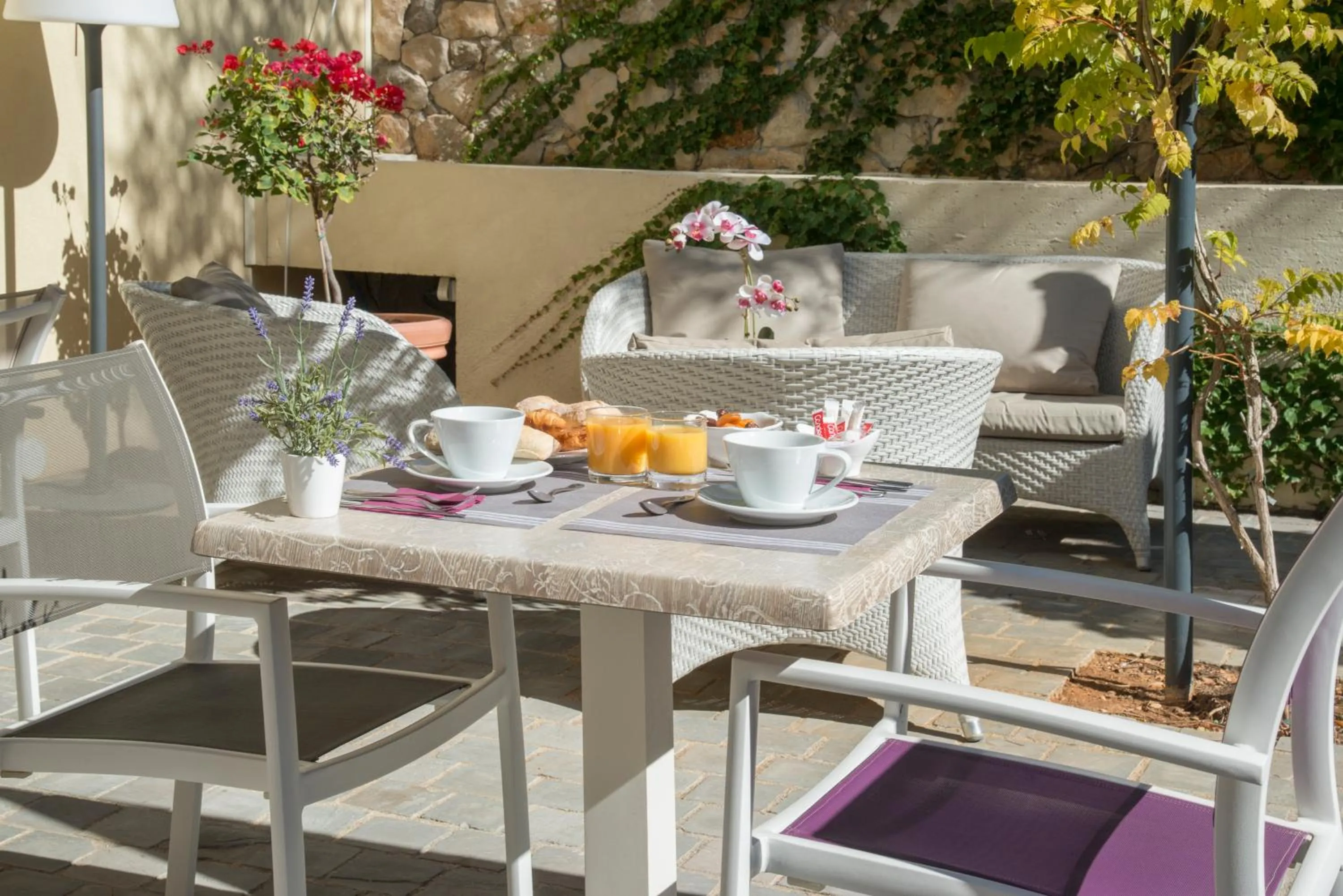 Patio in La Bastide de l'Oliveraie
