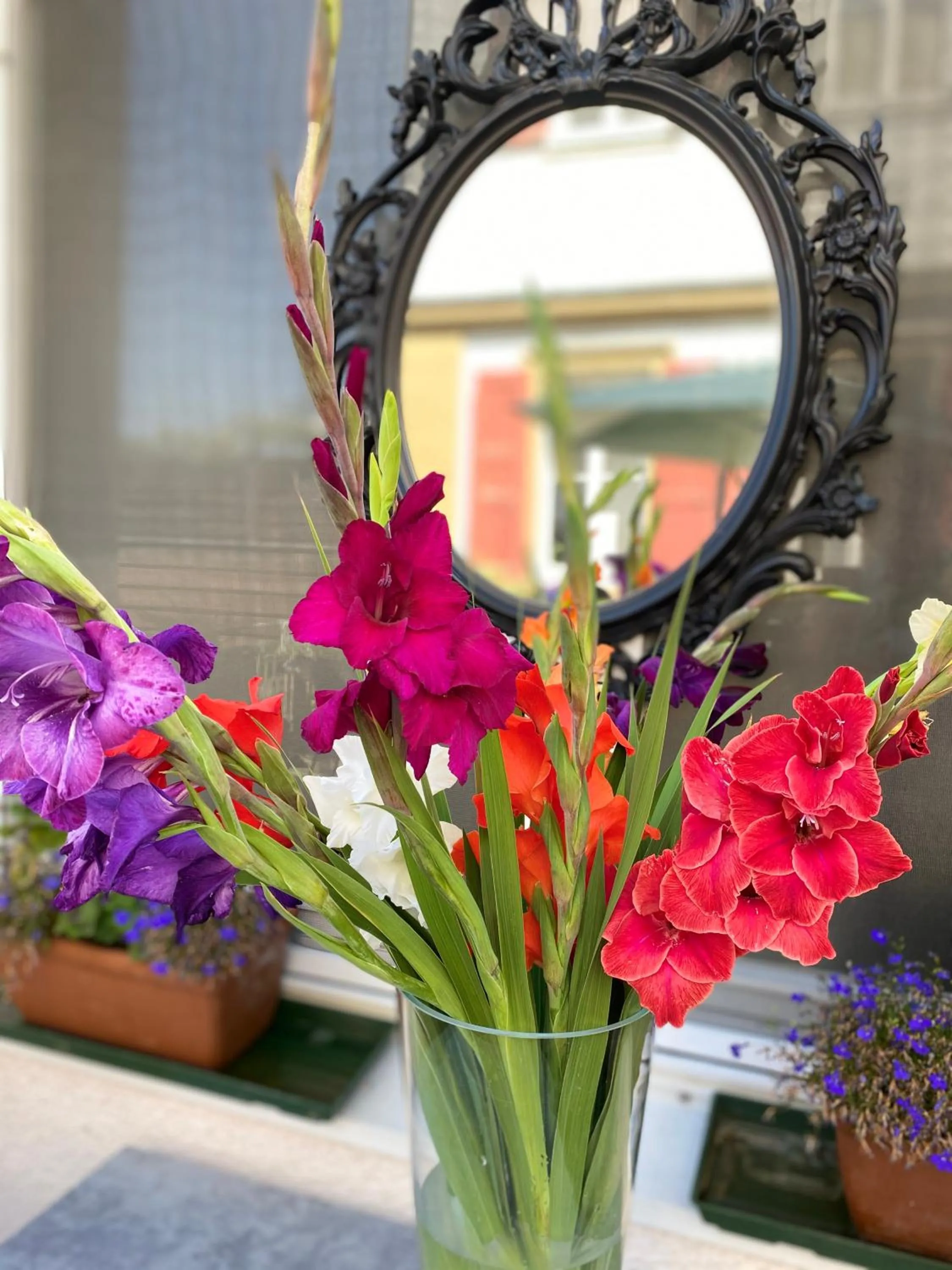 Balcony/Terrace in Hotel Kronprinz