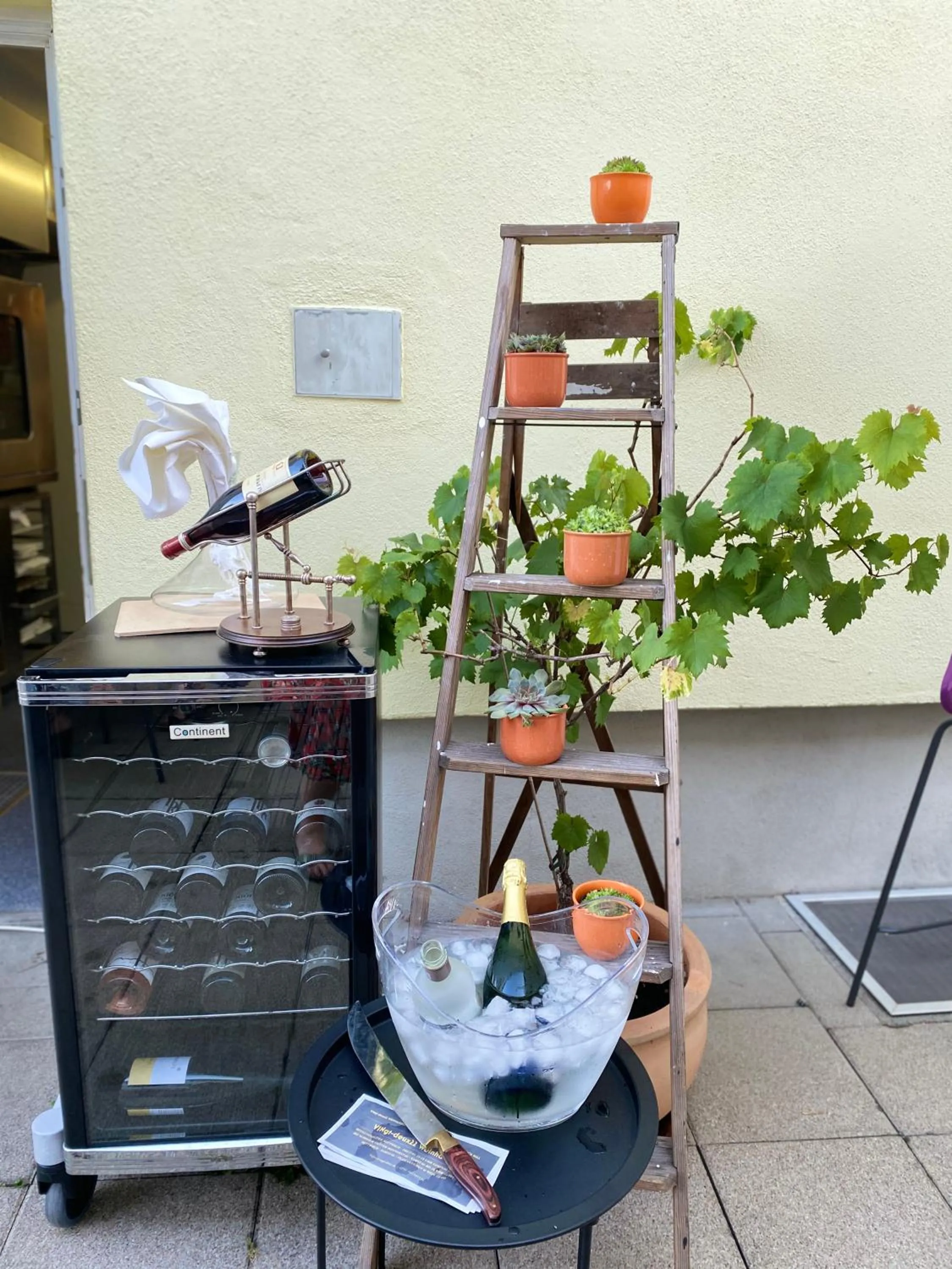 Balcony/Terrace in Hotel Kronprinz