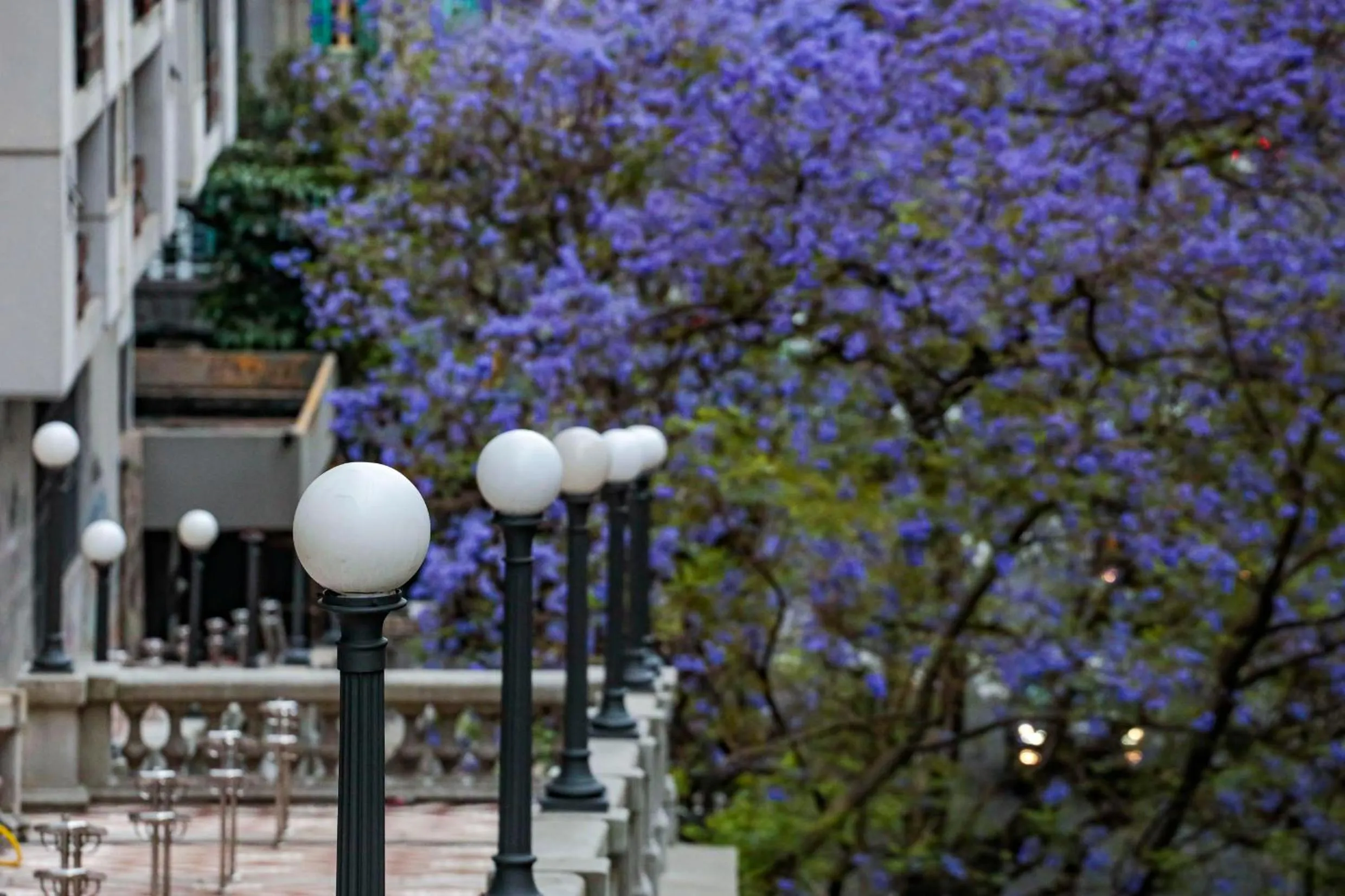 Other in Slaviero Porto Alegre Moinhos