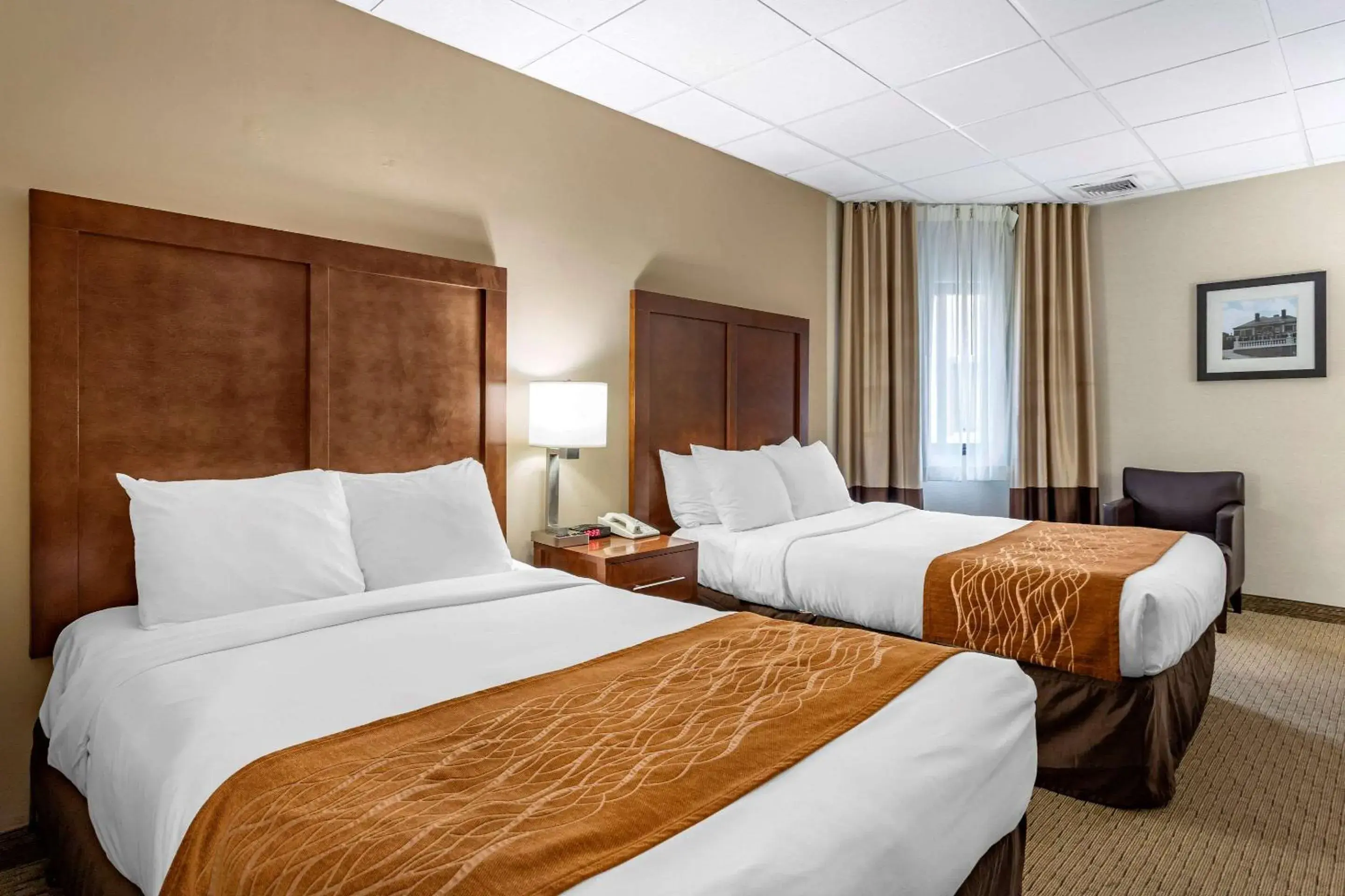 Photo of the whole room, Bed in Comfort Inn Syosset-Long Island Photo of the whole room, Bed in Comfort Inn Syosset-Long Island