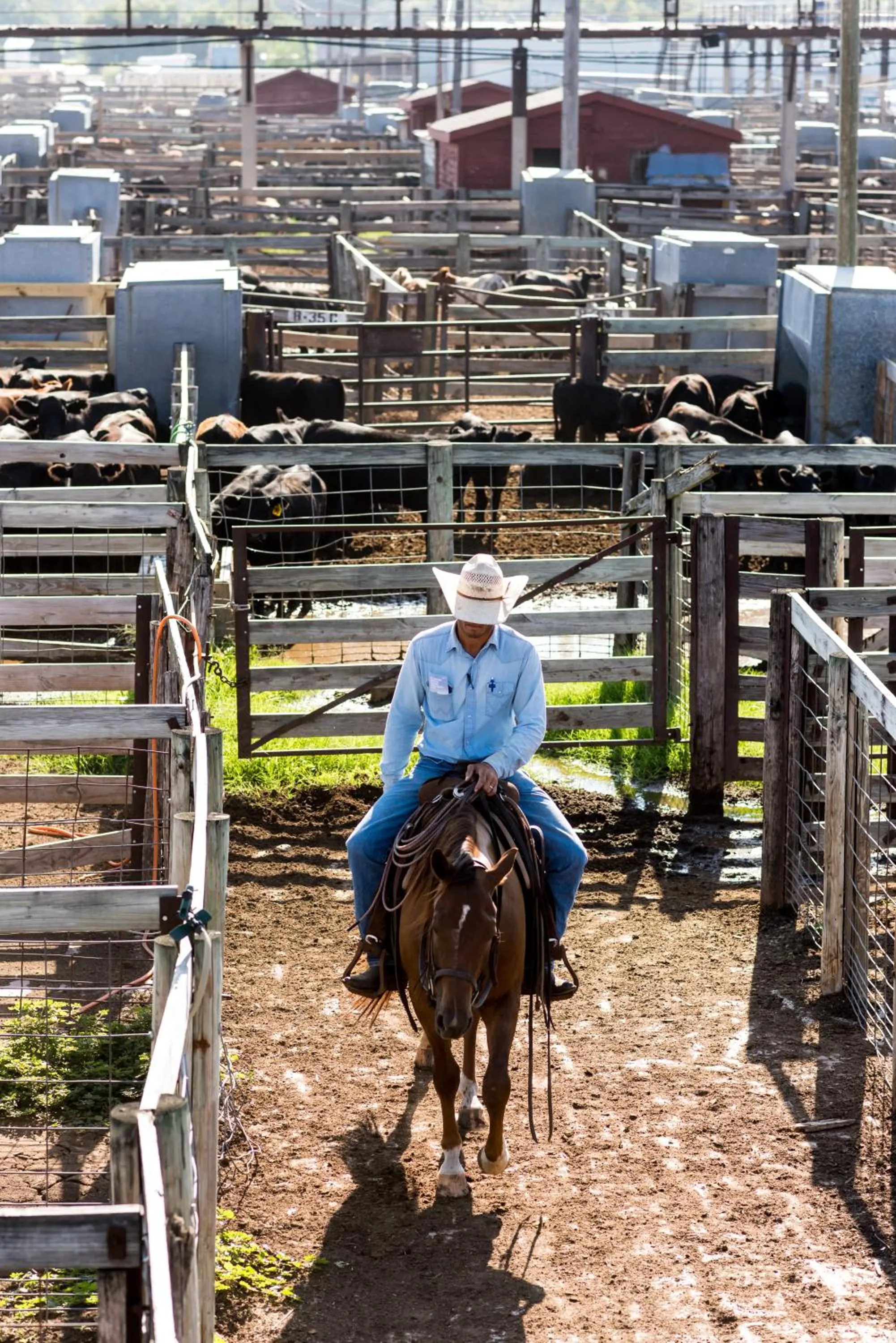 Horse-riding in Wyndham Grand Oklahoma City Downtown