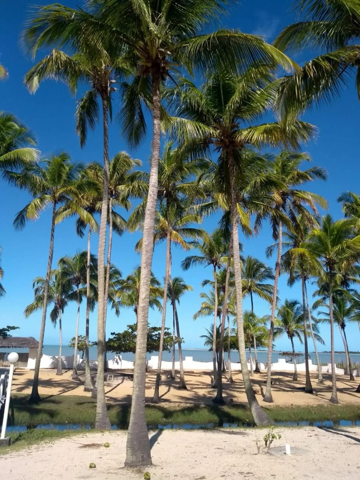 Natural landscape in Hotel Marina Porto Abrolhos