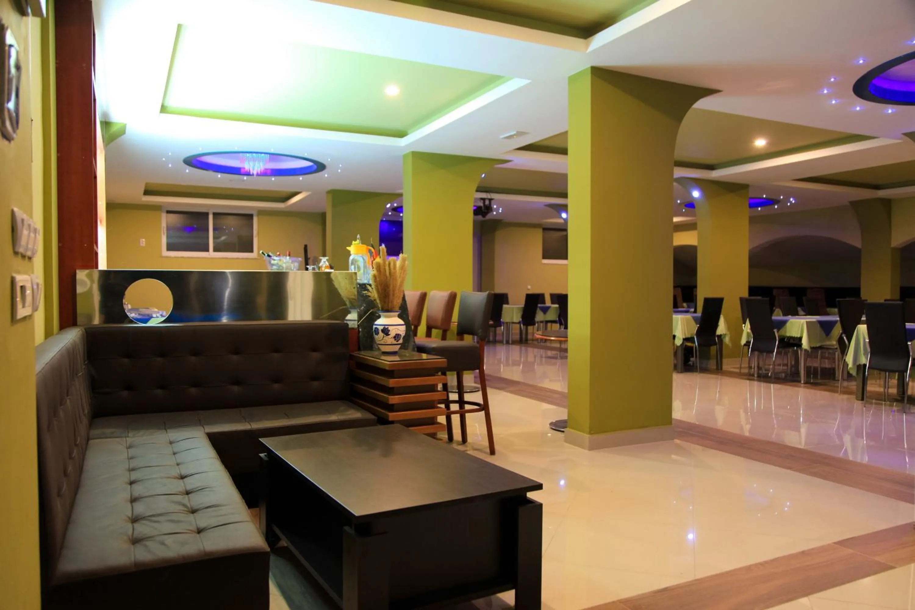 Lounge or bar in Aparthotel Villa Primafila