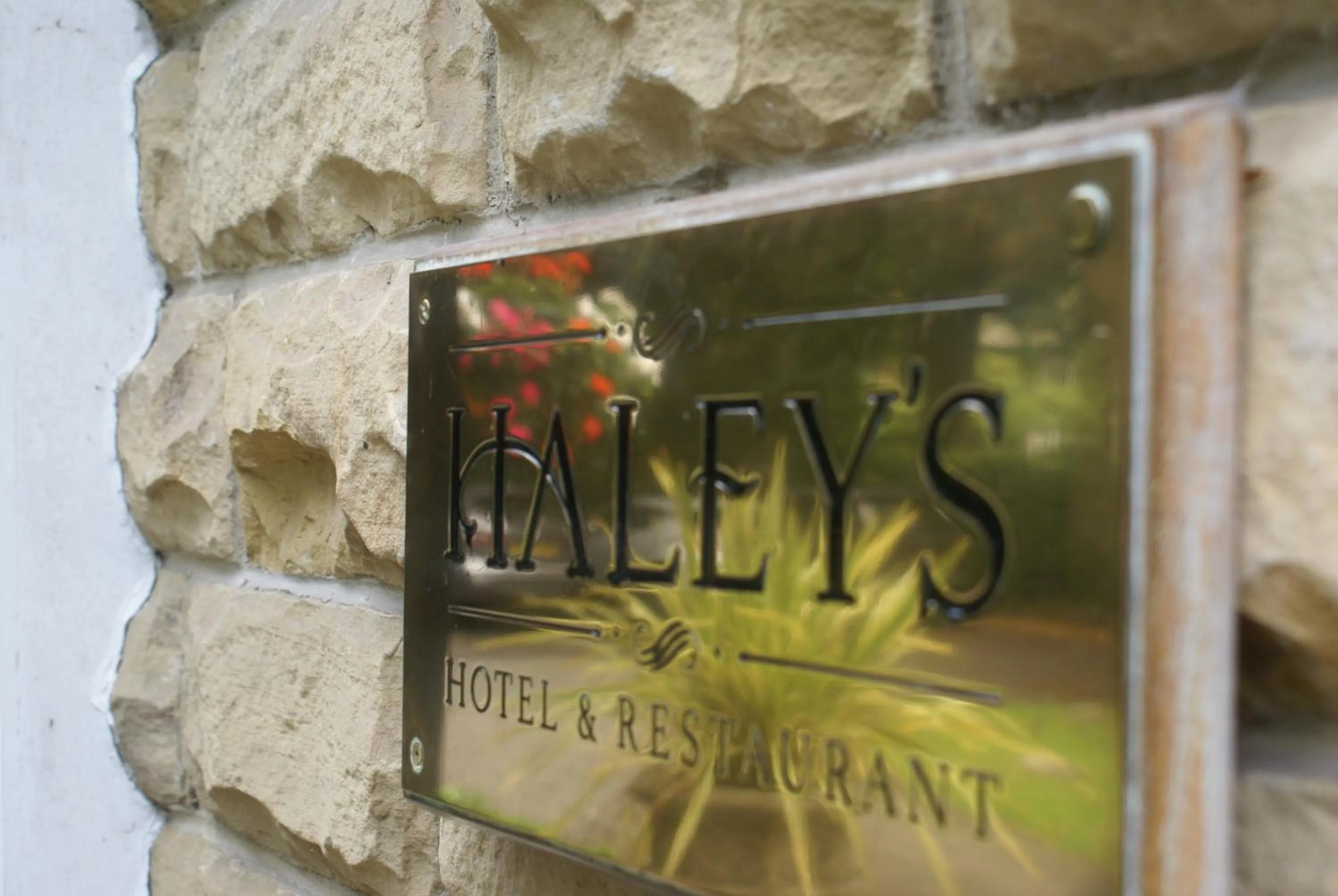 Logo/Certificate/Sign in Haley's Hotel
