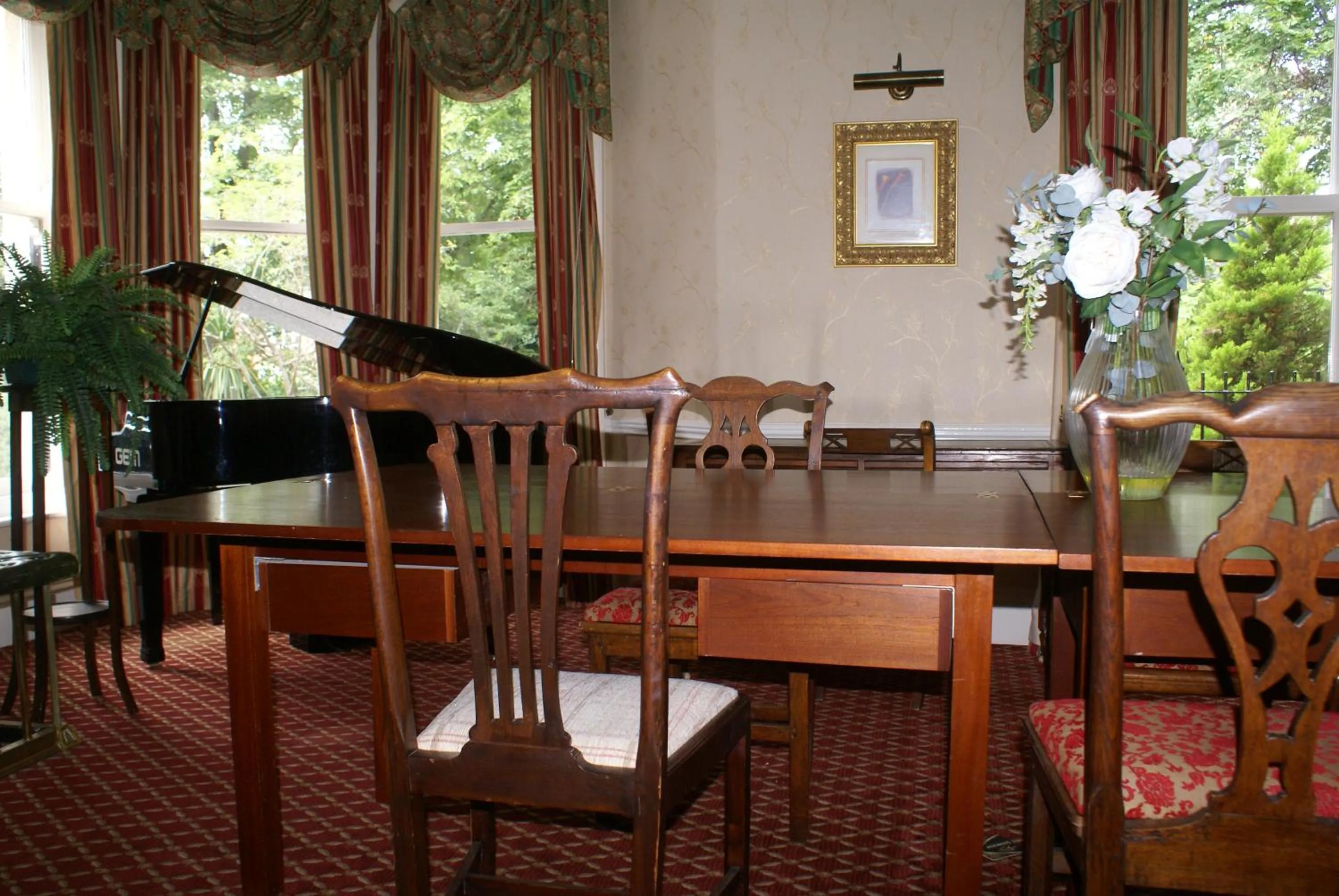 Library in Haley's Hotel