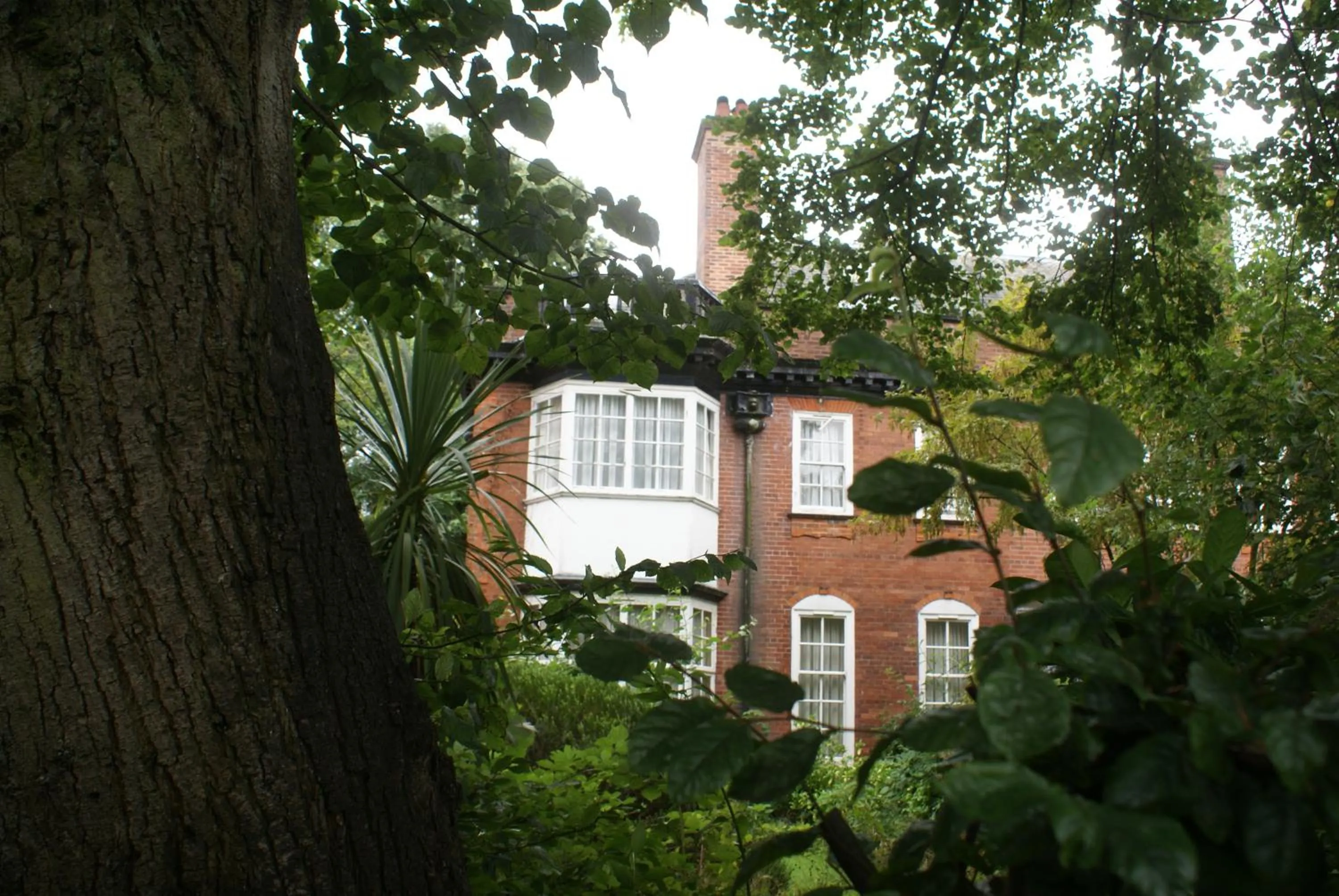 Garden view in Haley's Hotel
