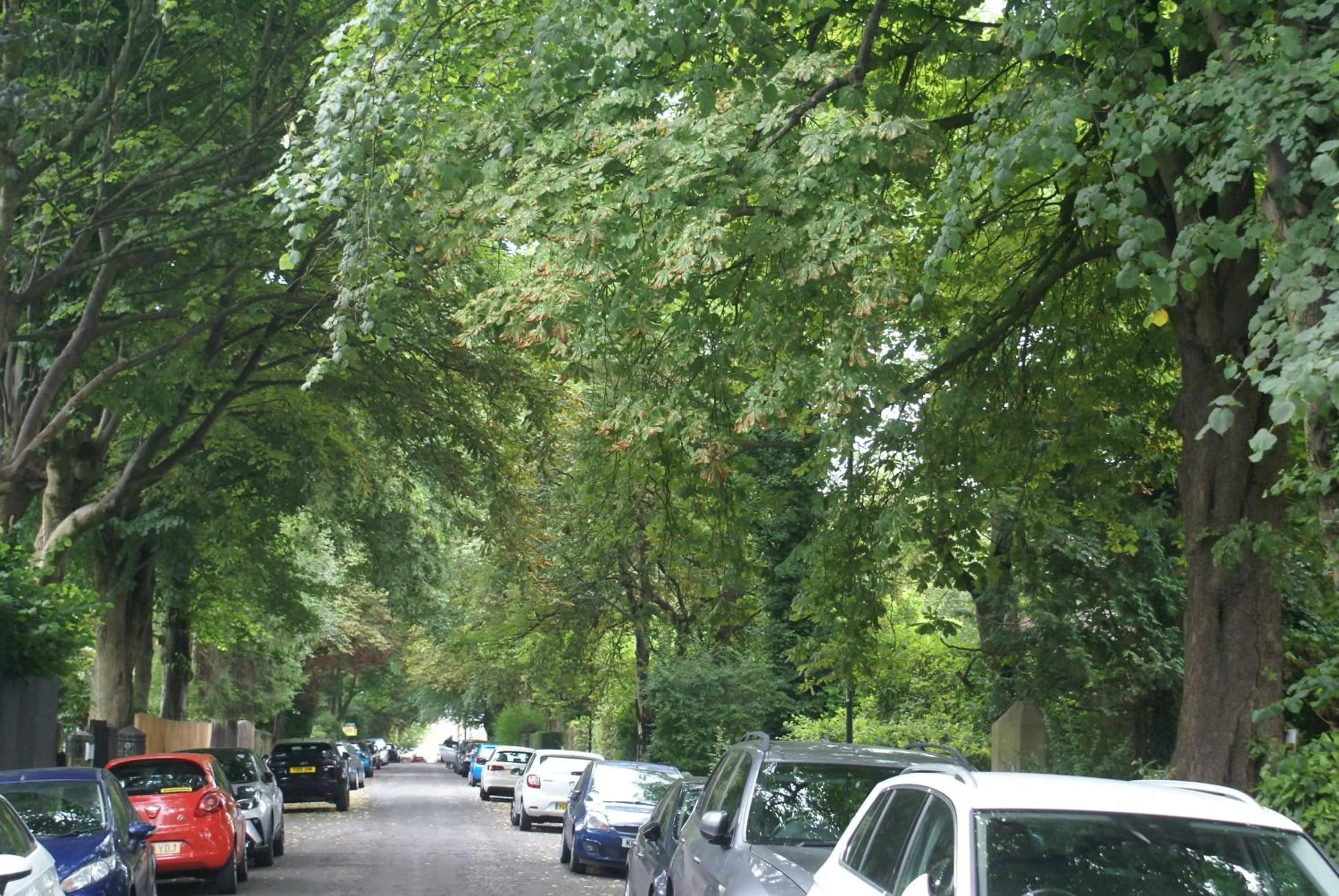 Quiet street view in Haley's Hotel