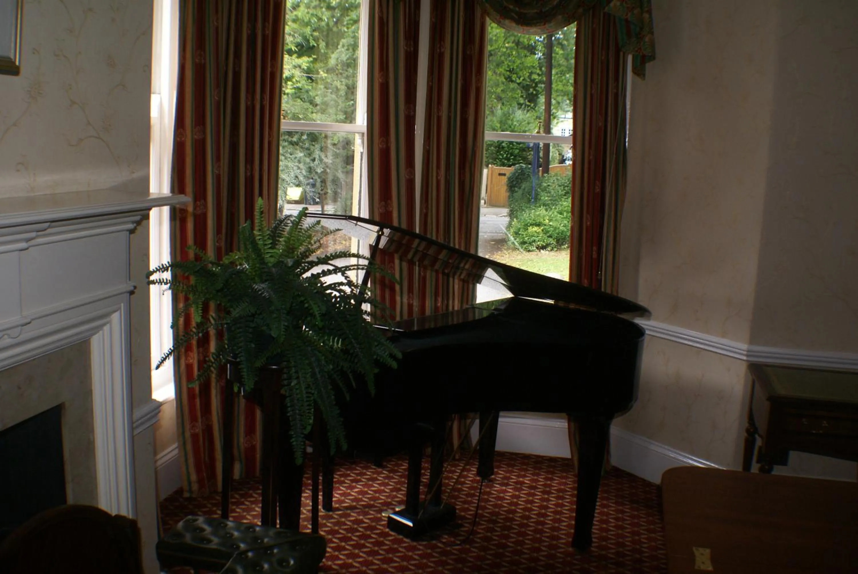 Library in Haley's Hotel