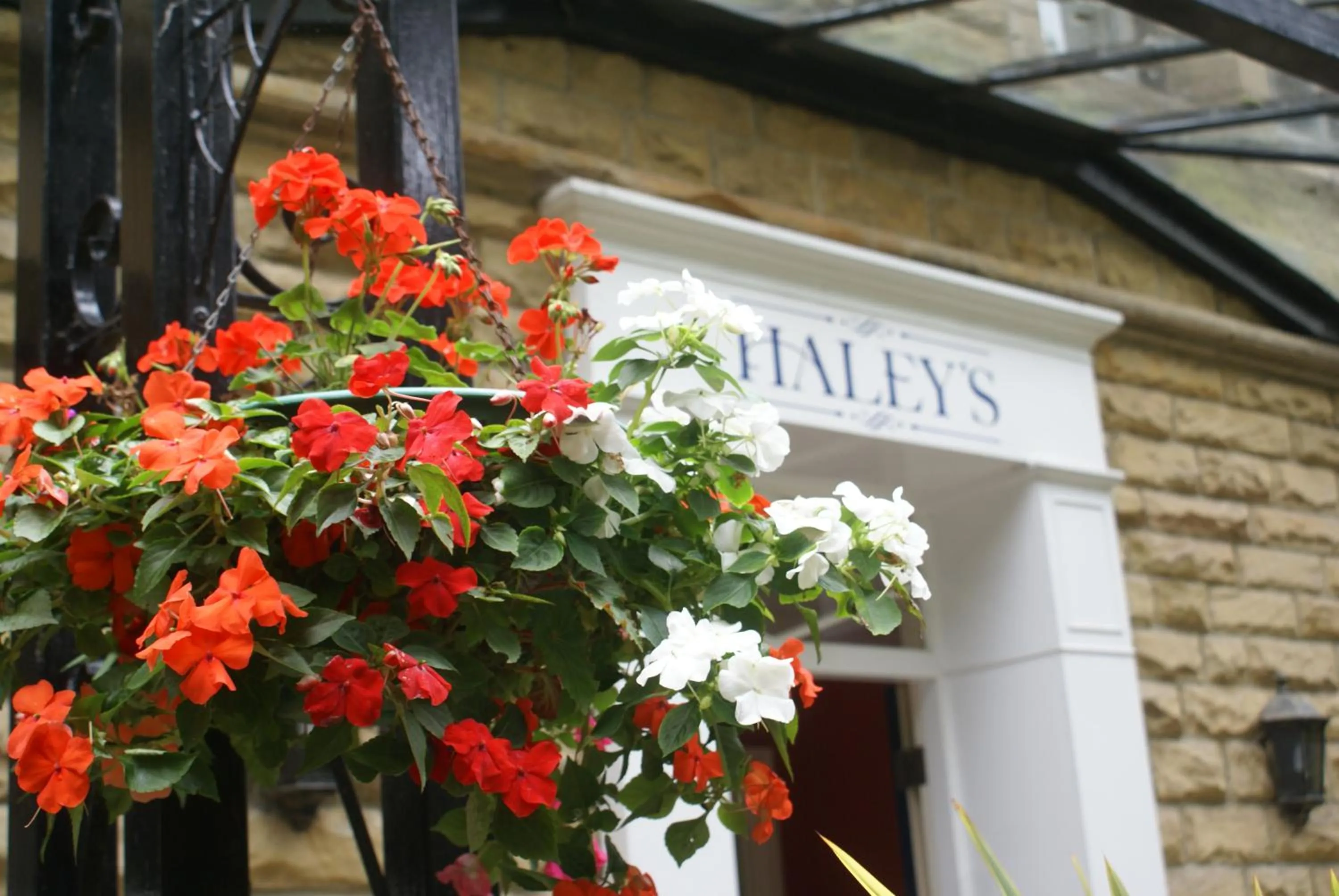 Property building in Haley's Hotel