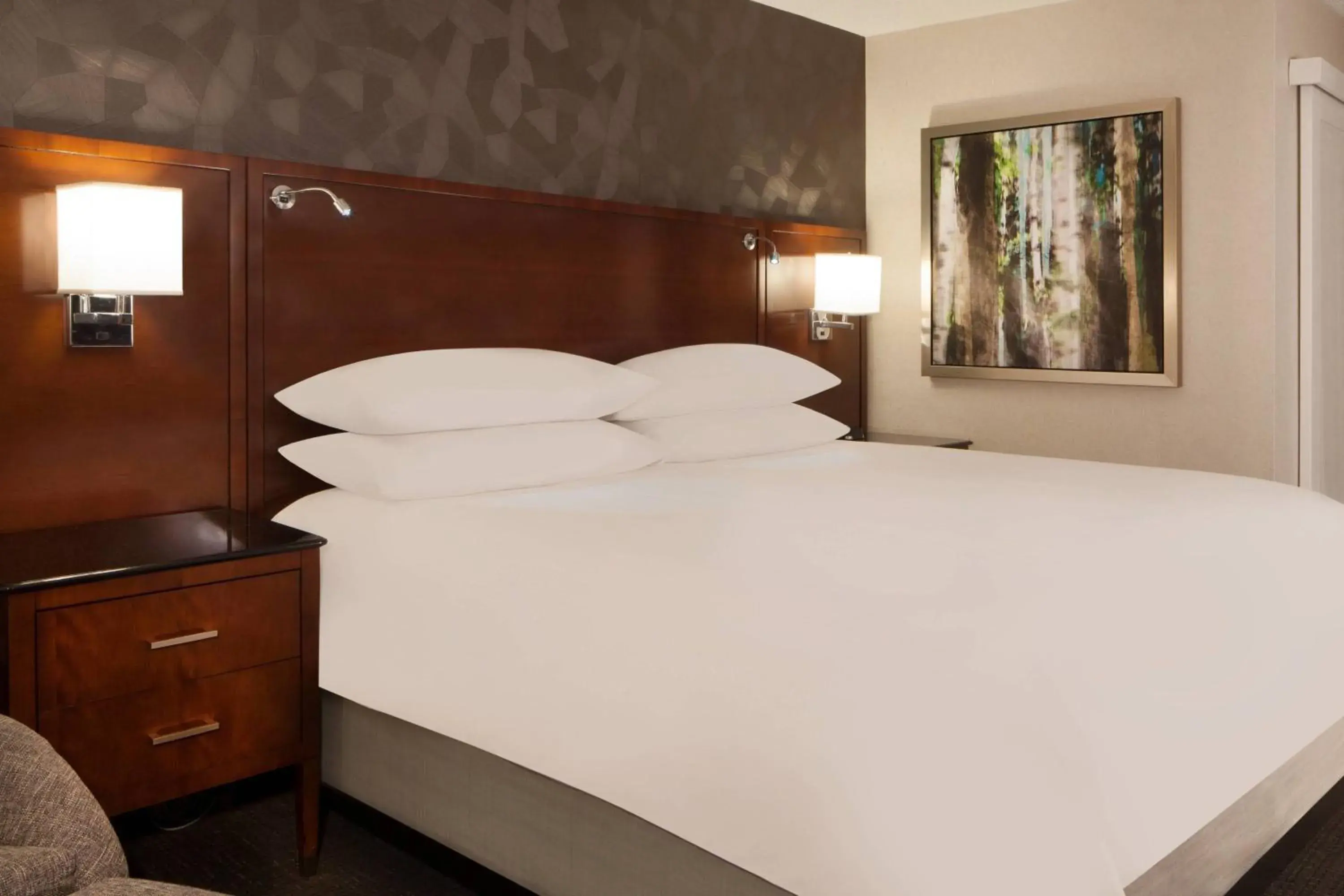 King Room with Adapted Tub - Mobility Accessible in Omaha Marriott King Room with Adapted Tub - Mobility Accessible in Omaha Marriott