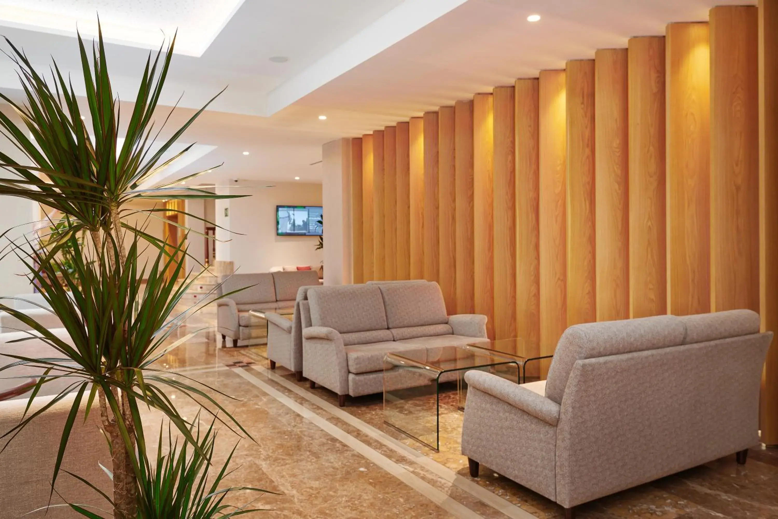 Lobby or reception in Hipotels Said Lobby or reception in Hipotels Said