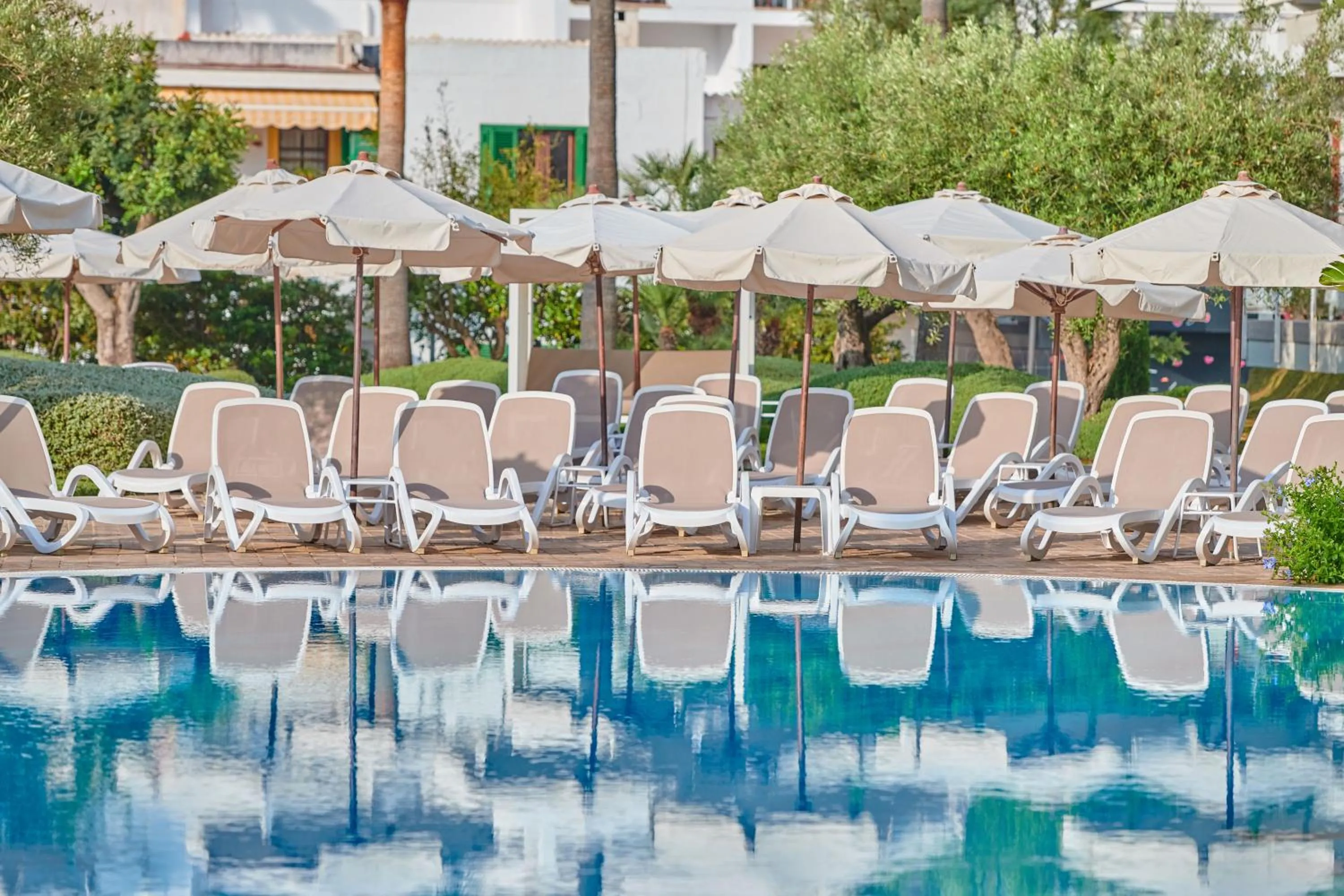 Garden in Hipotels Said