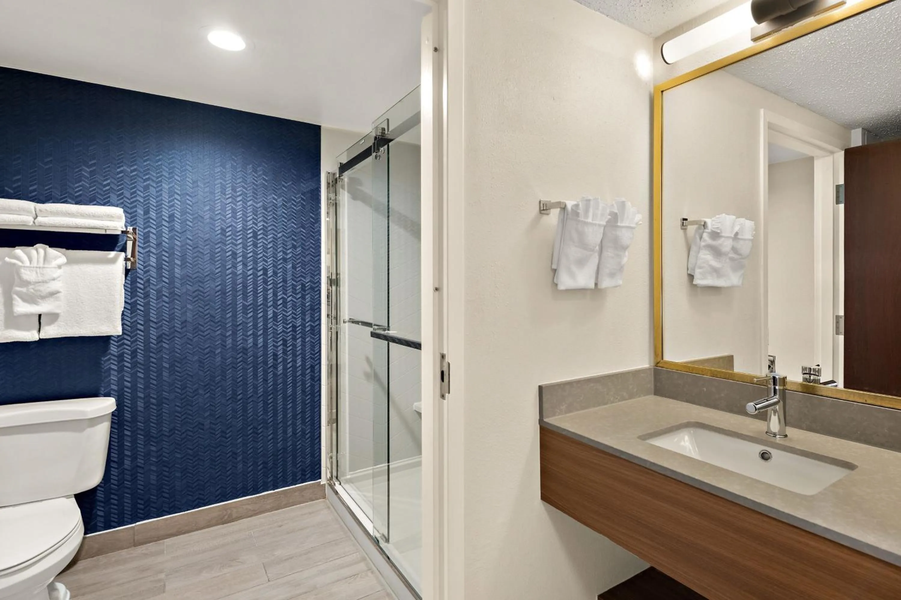 Bathroom in Fairfield by Marriott Chesapeake