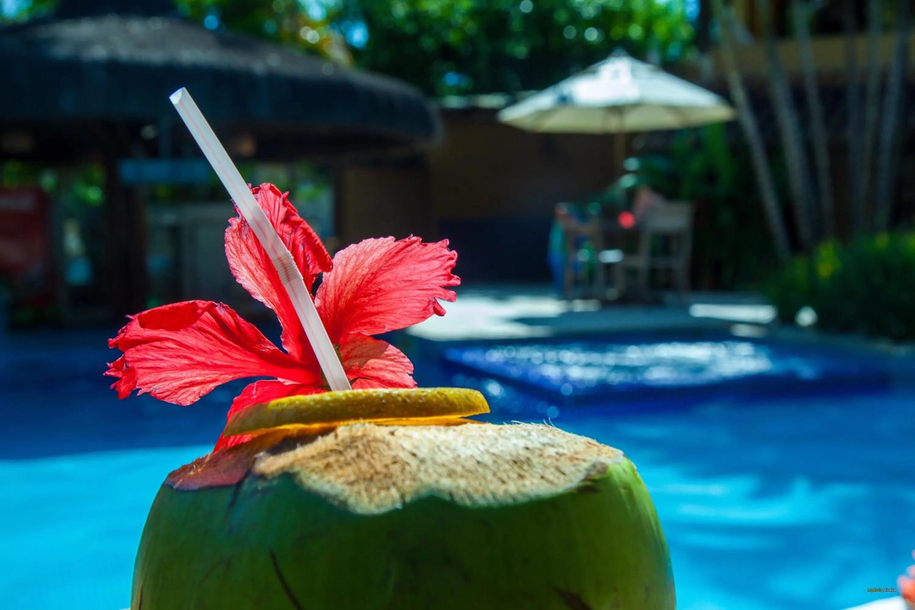 Day in Pousada Pedra Torta