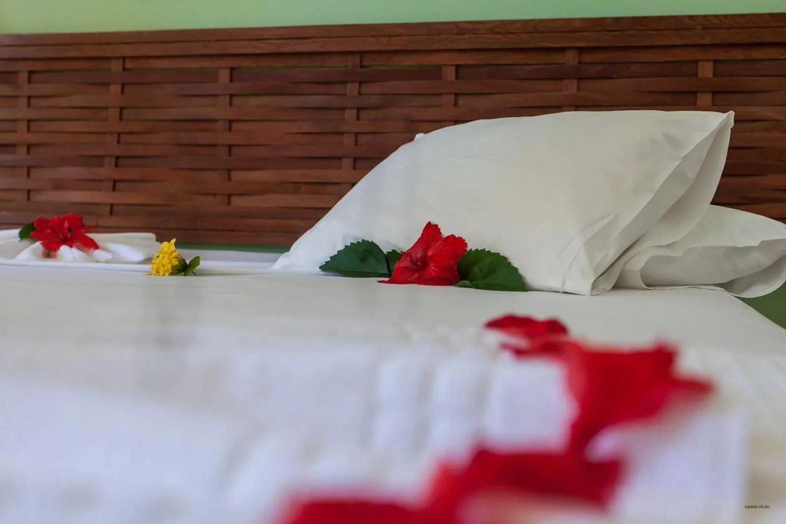 Bed in Pousada Pedra Torta