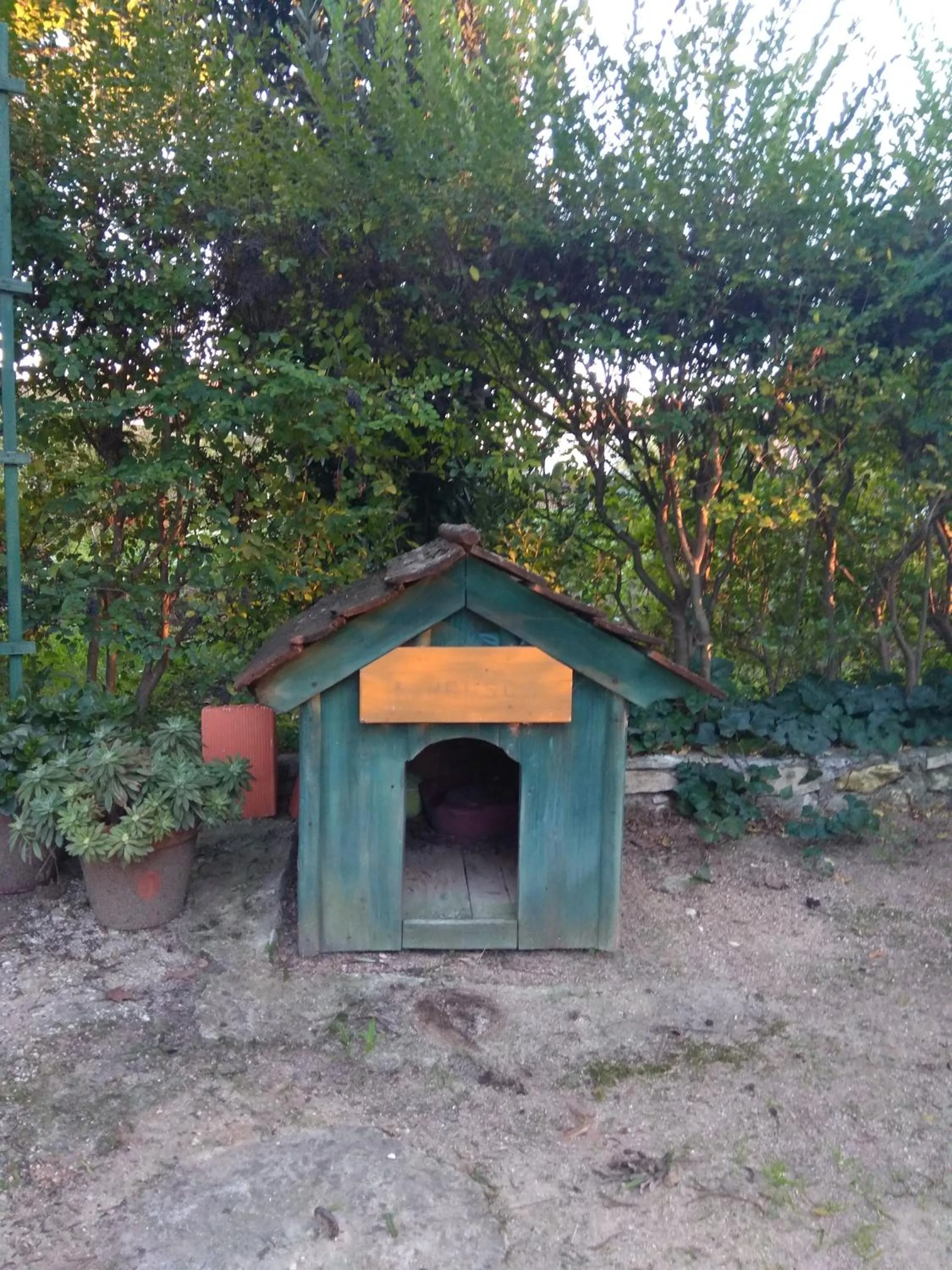 Pets in Casa Dos Arrabidos