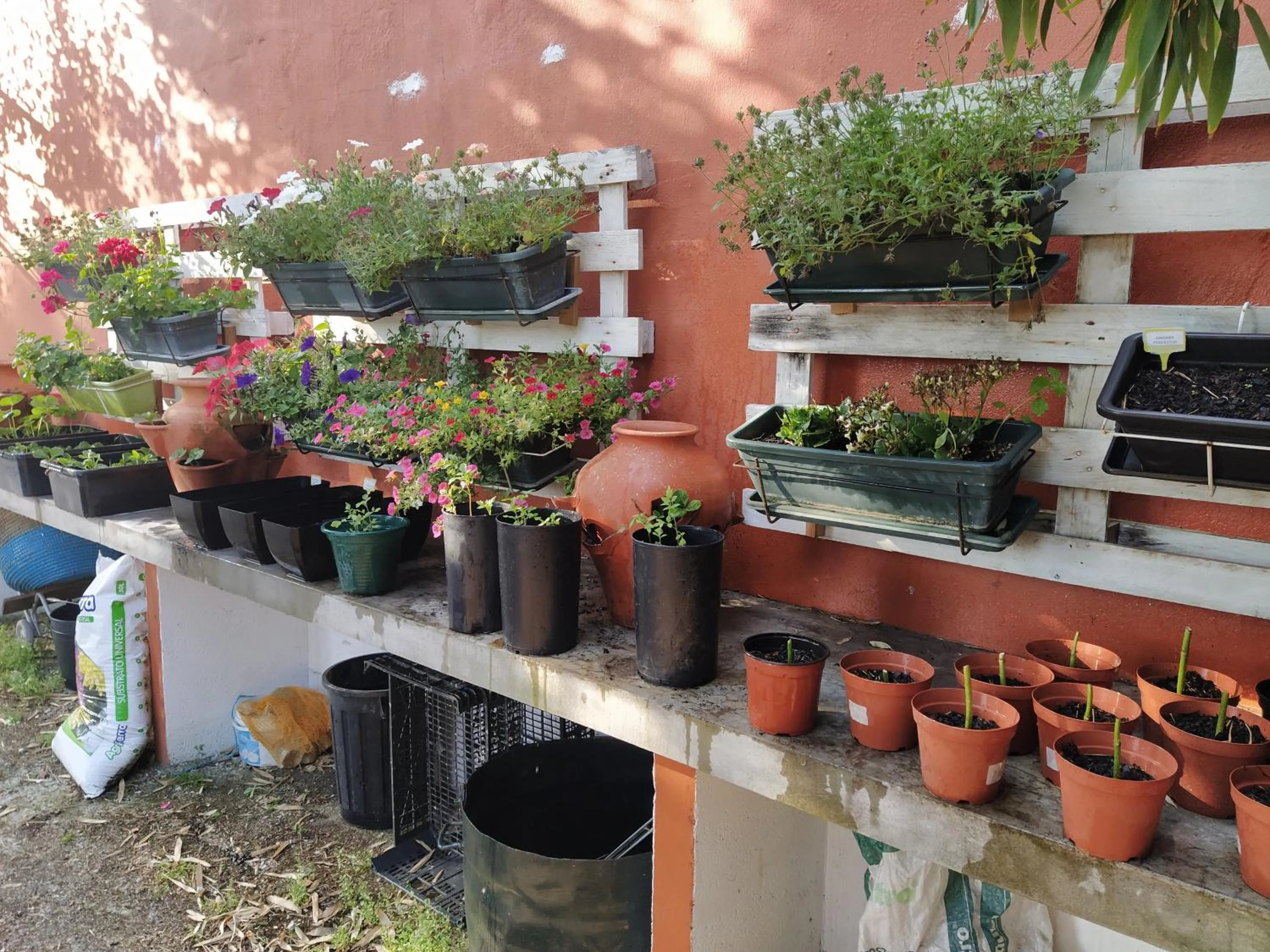 Decorative detail in Casa Dos Arrabidos