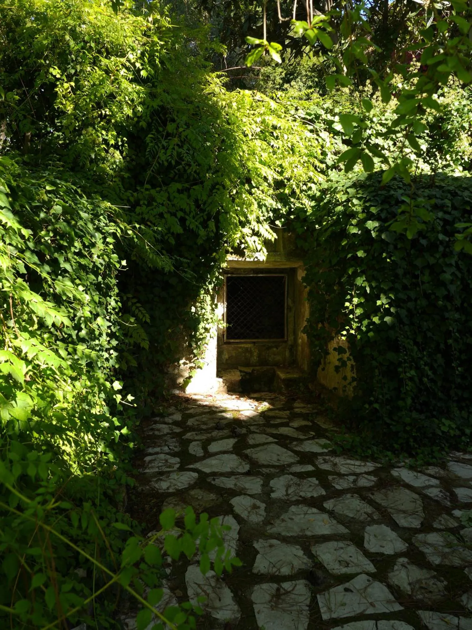 Facade/entrance in Casa Dos Arrabidos