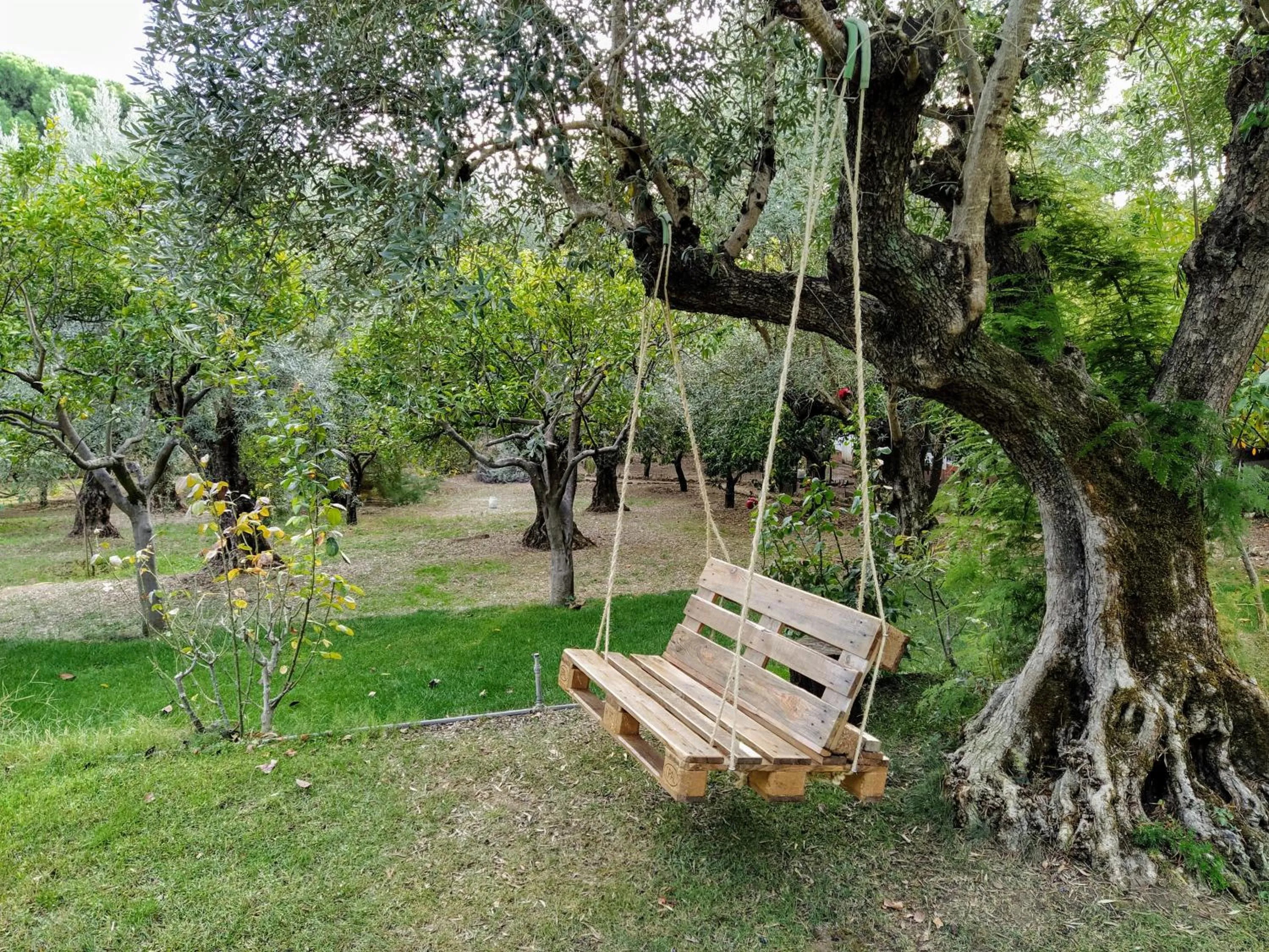 Garden in Casa Dos Arrabidos