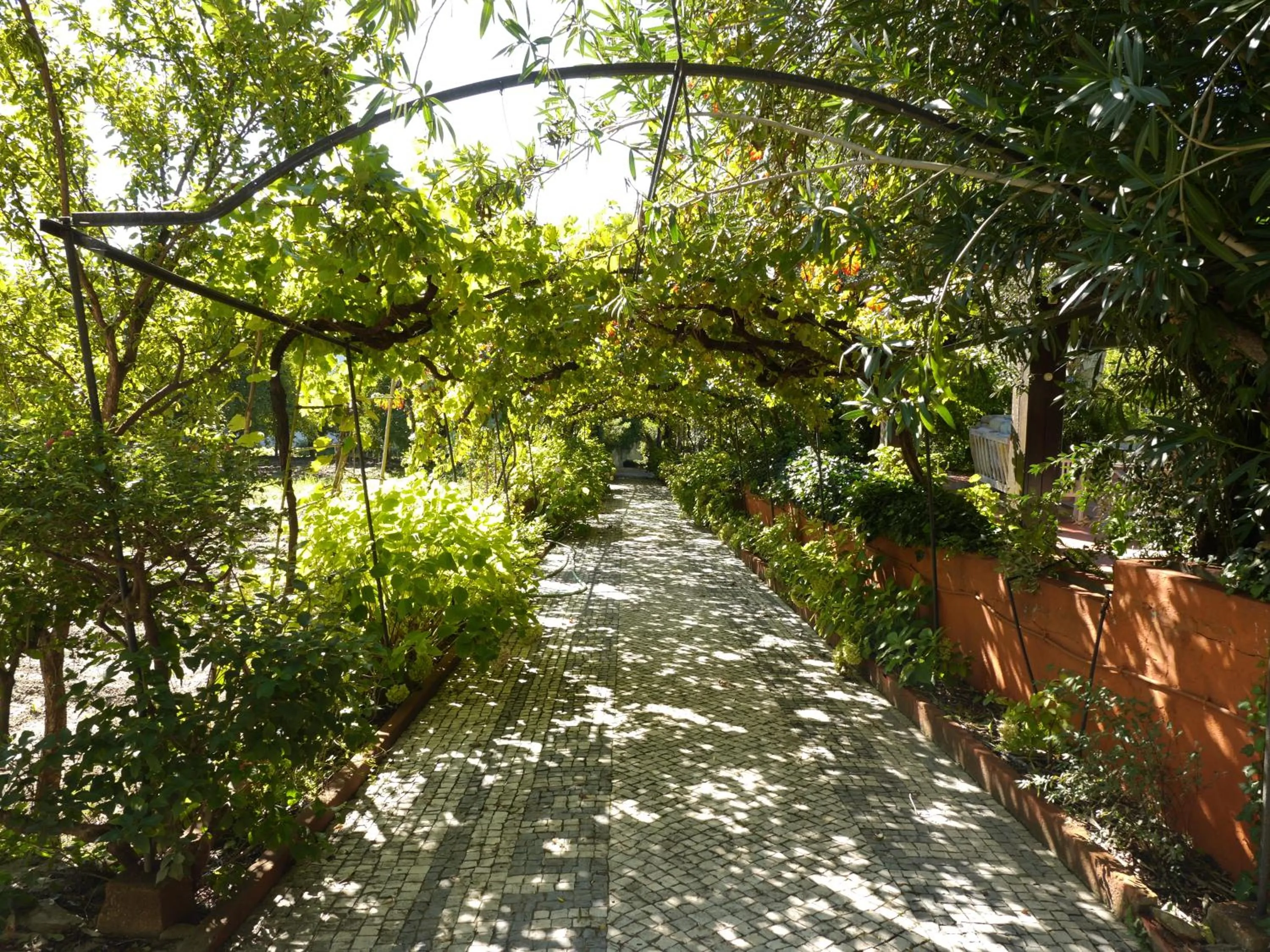 Facade/entrance in Casa Dos Arrabidos