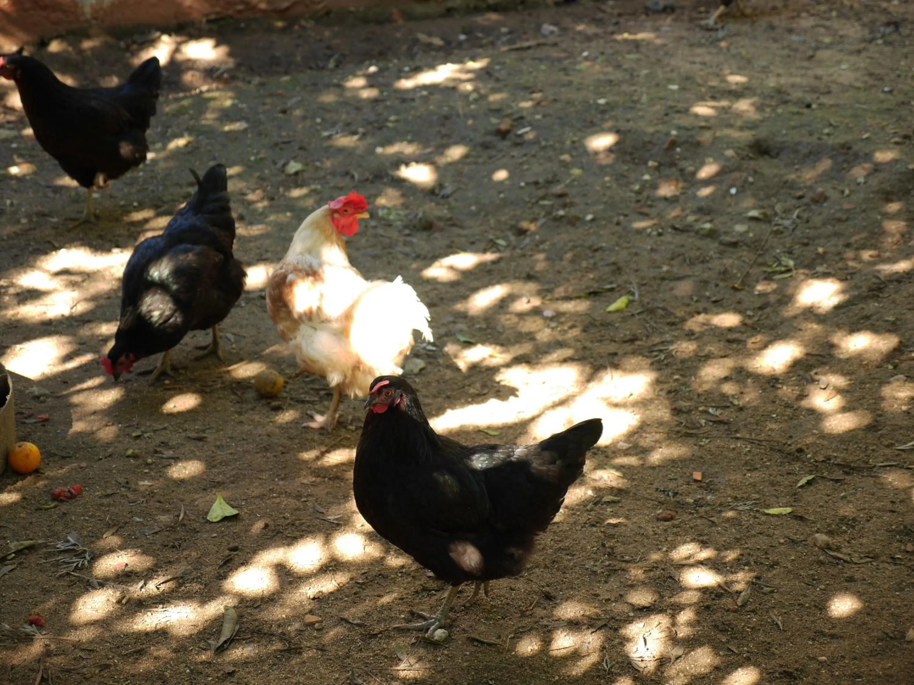 Other in Casa Dos Arrabidos