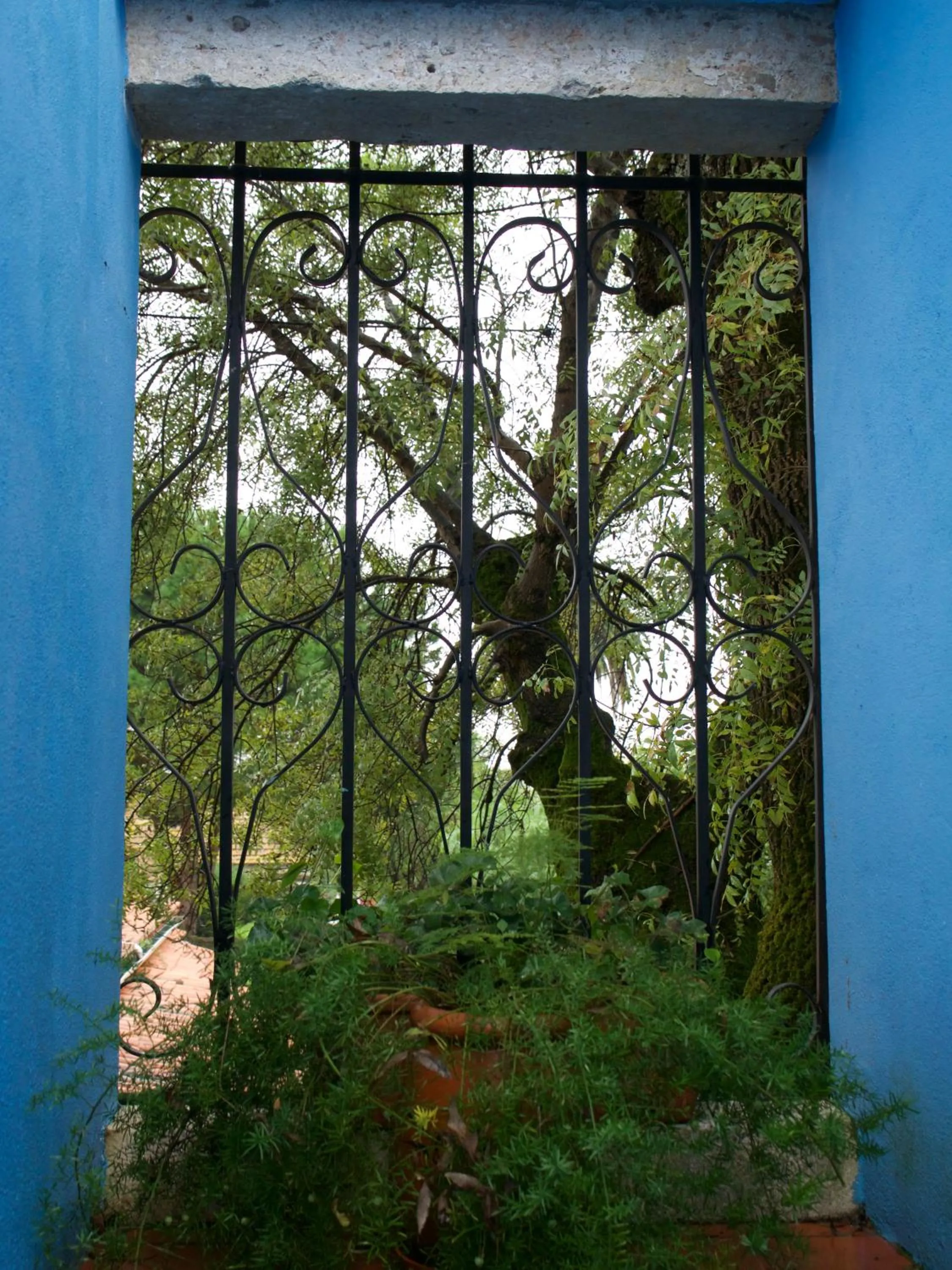 Patio in Casa Dos Arrabidos