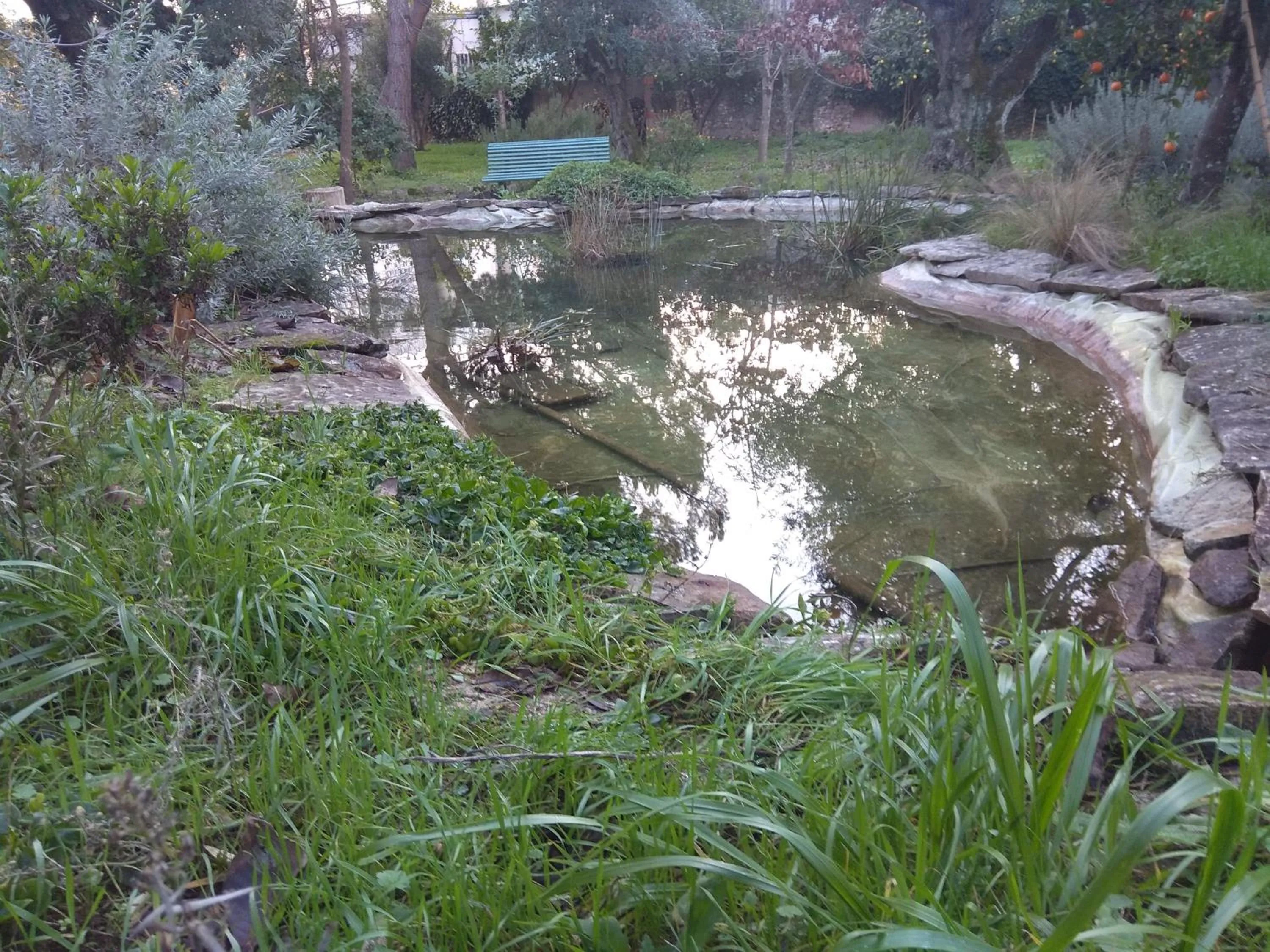 Garden in Casa Dos Arrabidos
