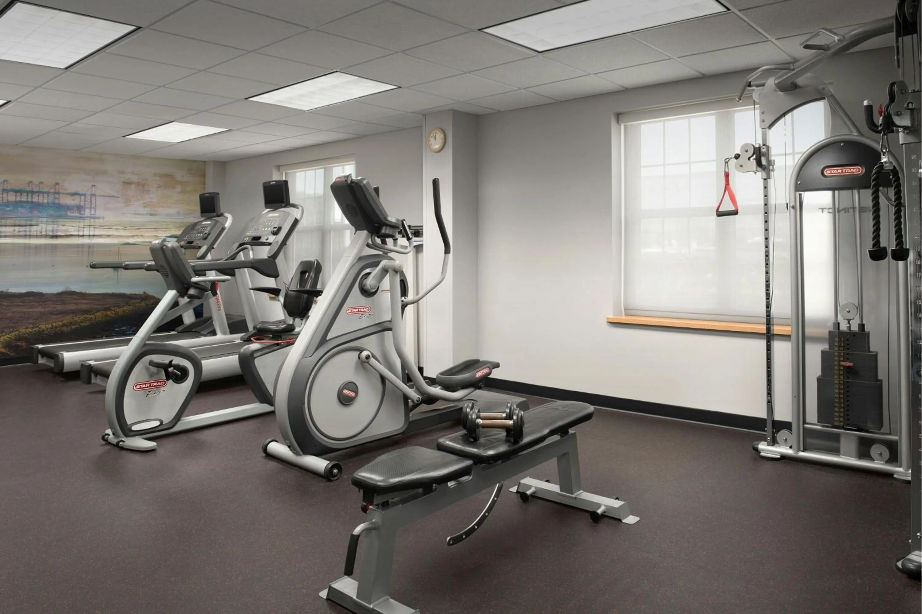 Fitness centre/facilities in TownePlace Suites Suffolk Chesapeake